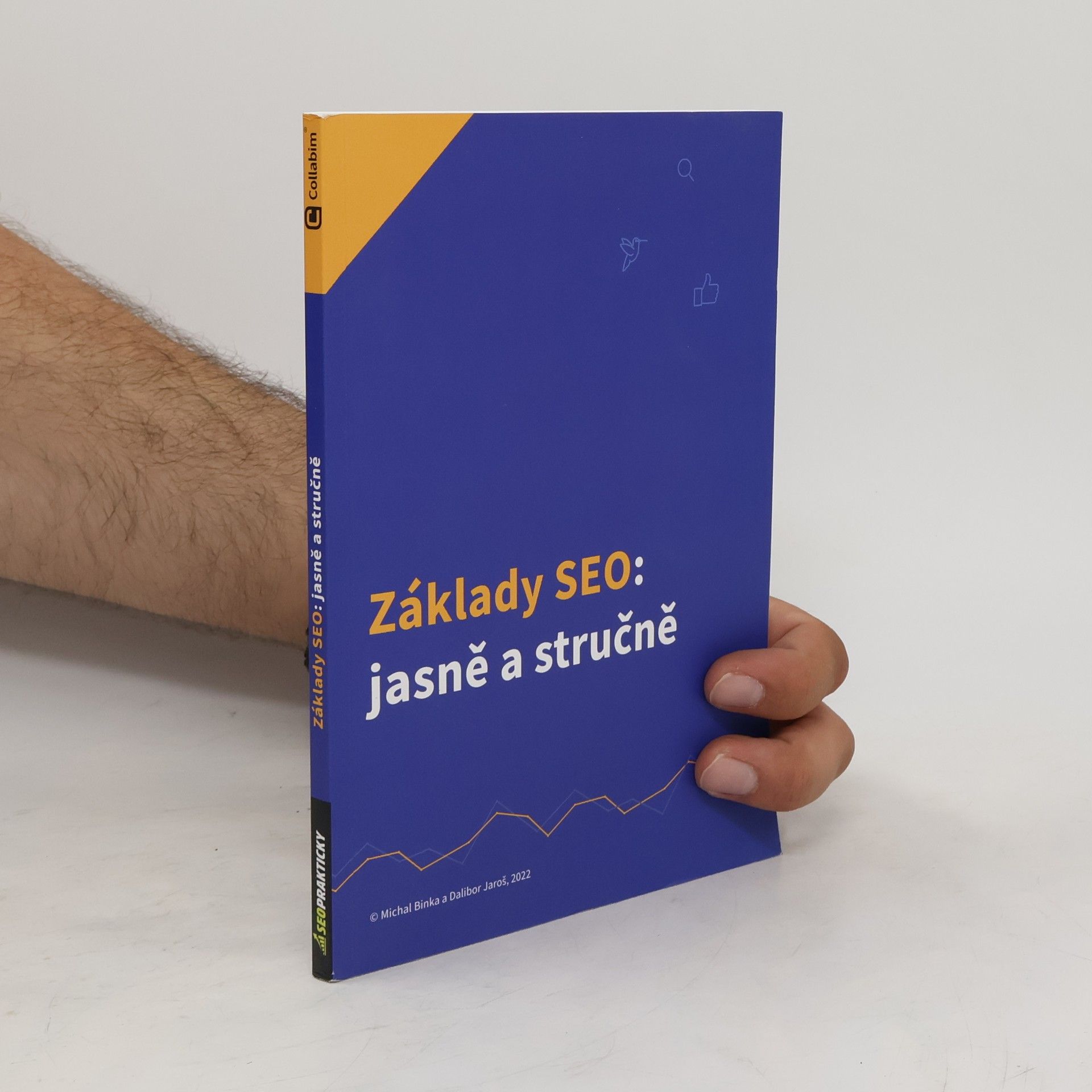 Michal Binka Základy SEO: jasně a stručně