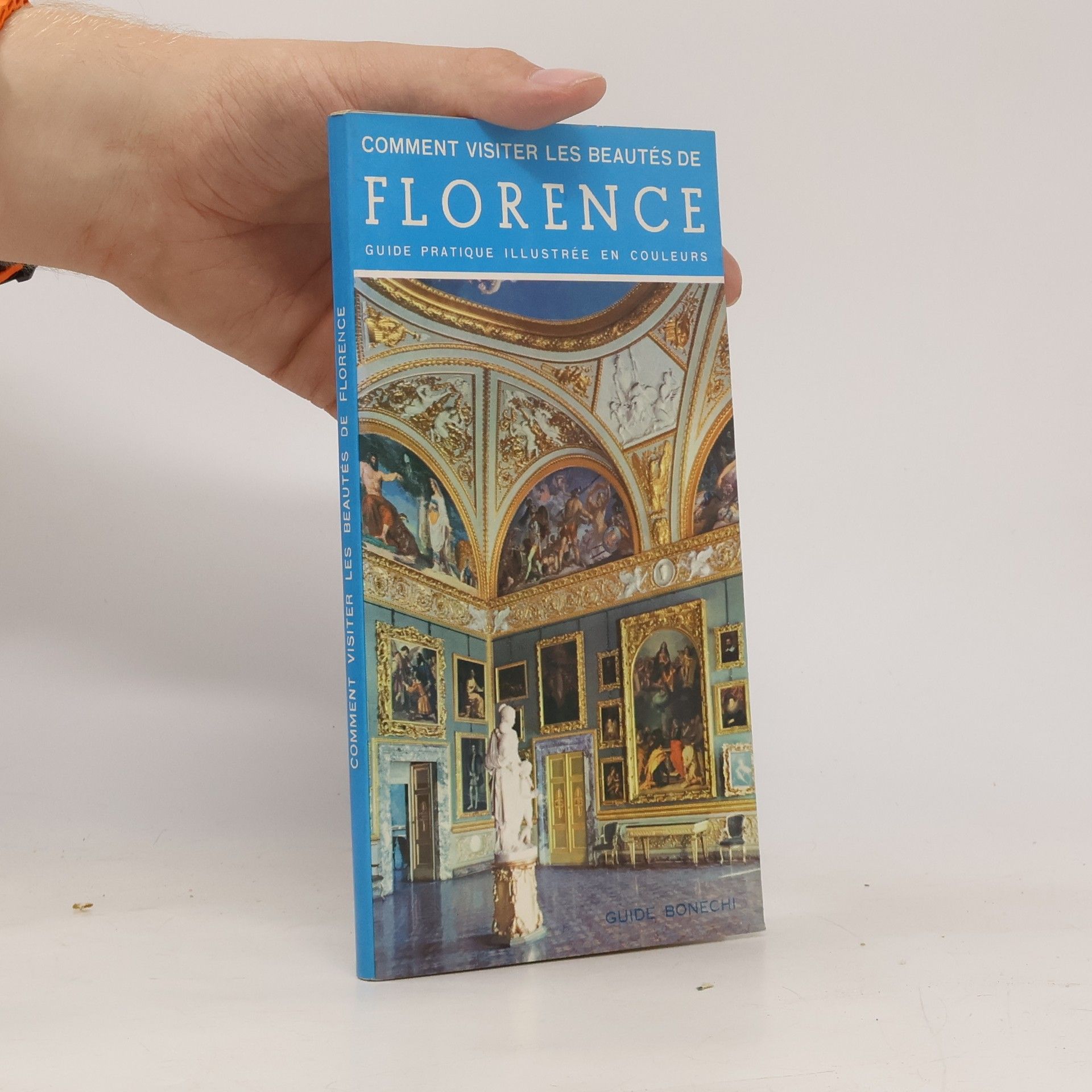 AA.VV. Comment visiter les beautés de Florence
