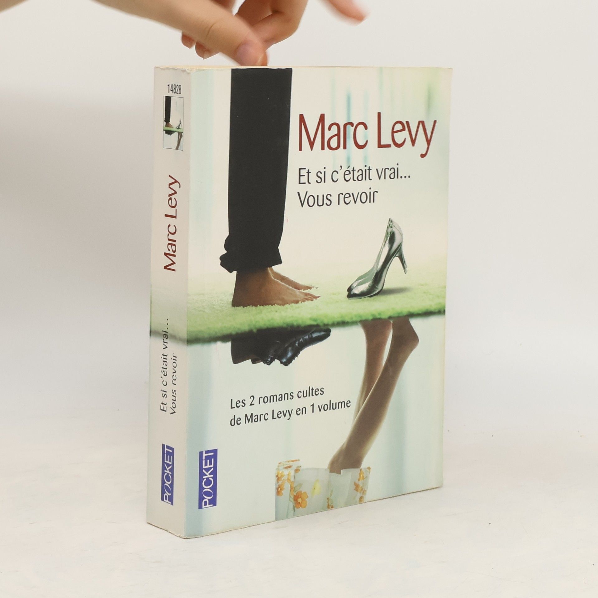 Marc Lévy Et si c'était vrai