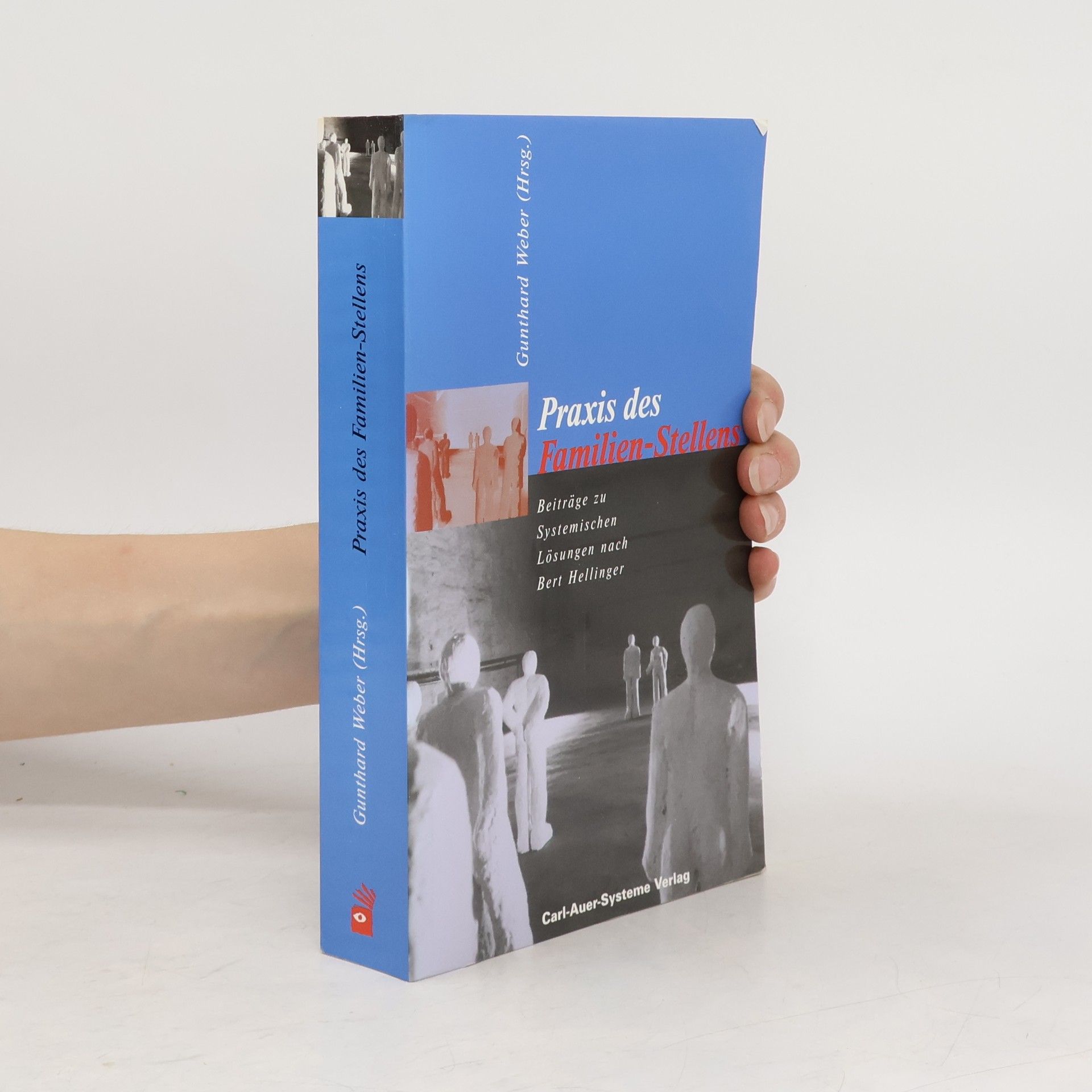 Gunthard Weber Praxis des Familien-Stellens