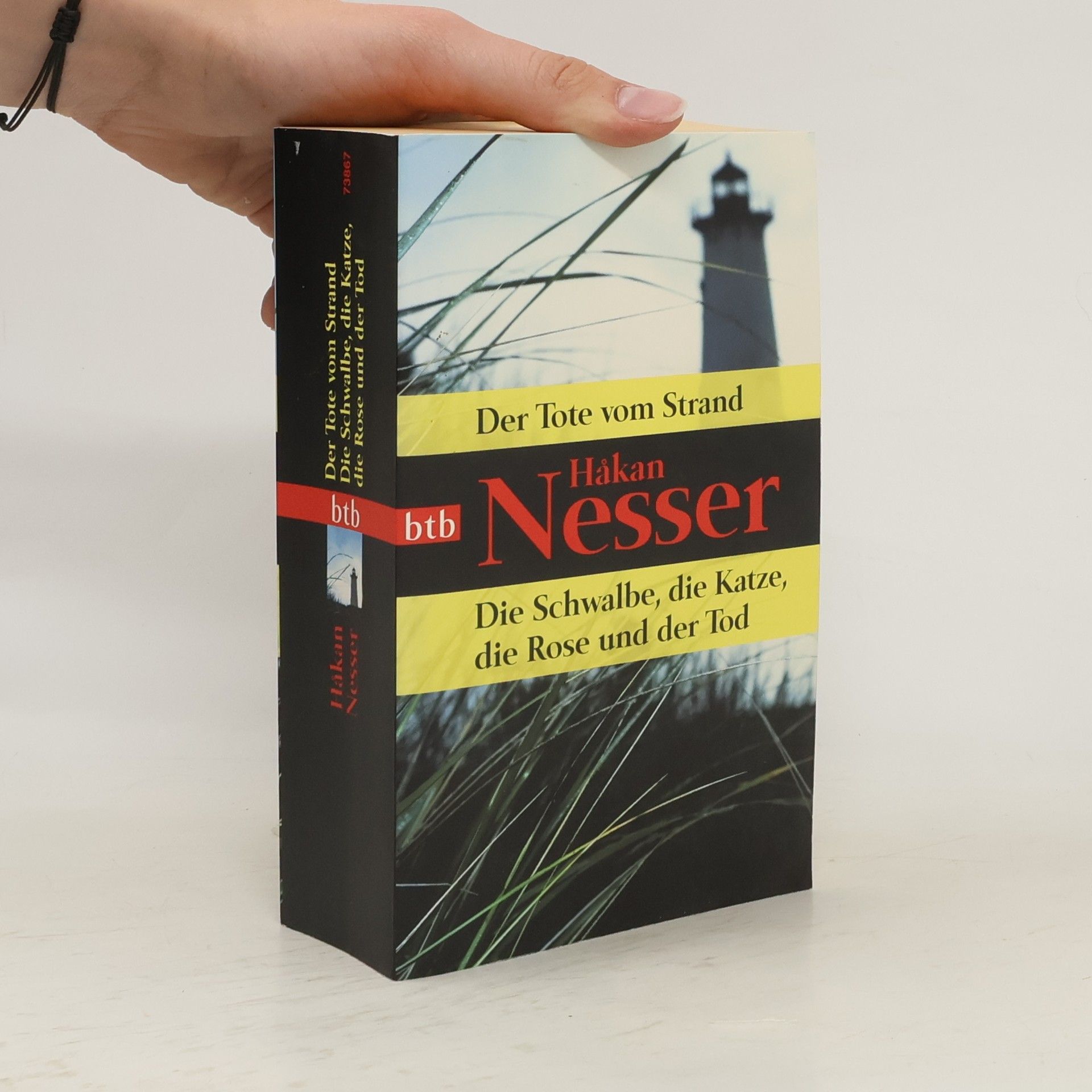 Håkan Nesser Der Tote vom Strand