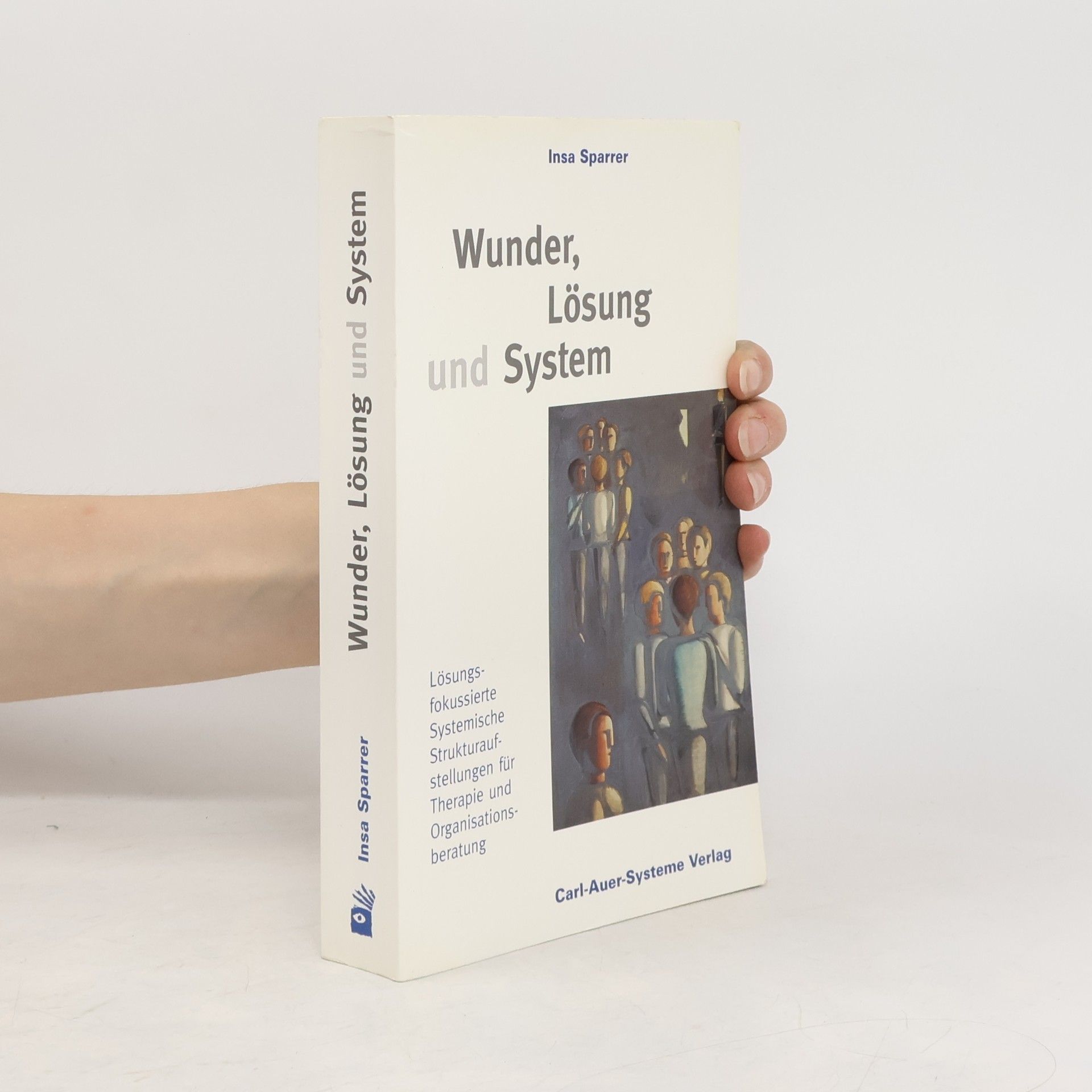 Insa Sparrer Wunder, Lösung und System