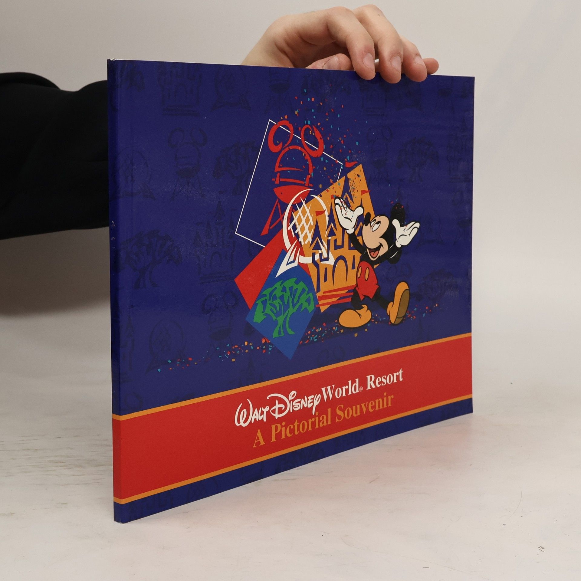 Collectif d'auteurs Walt Disney World Resort