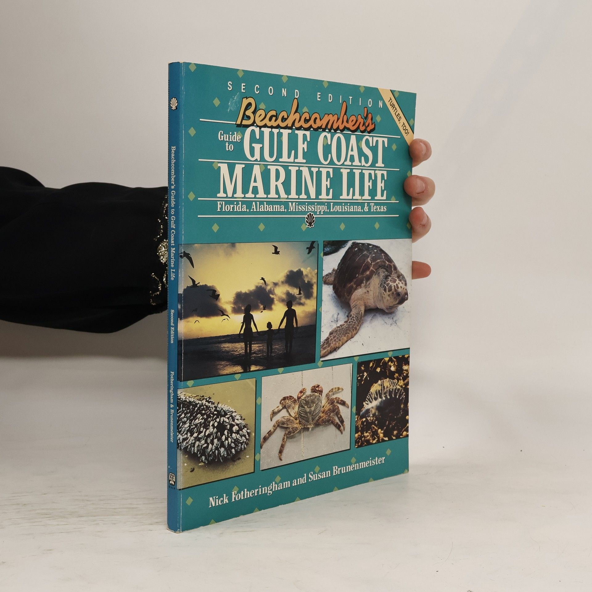 Nick Fotheringham Beachcomber's Guide to Gulf Coast Marine Life