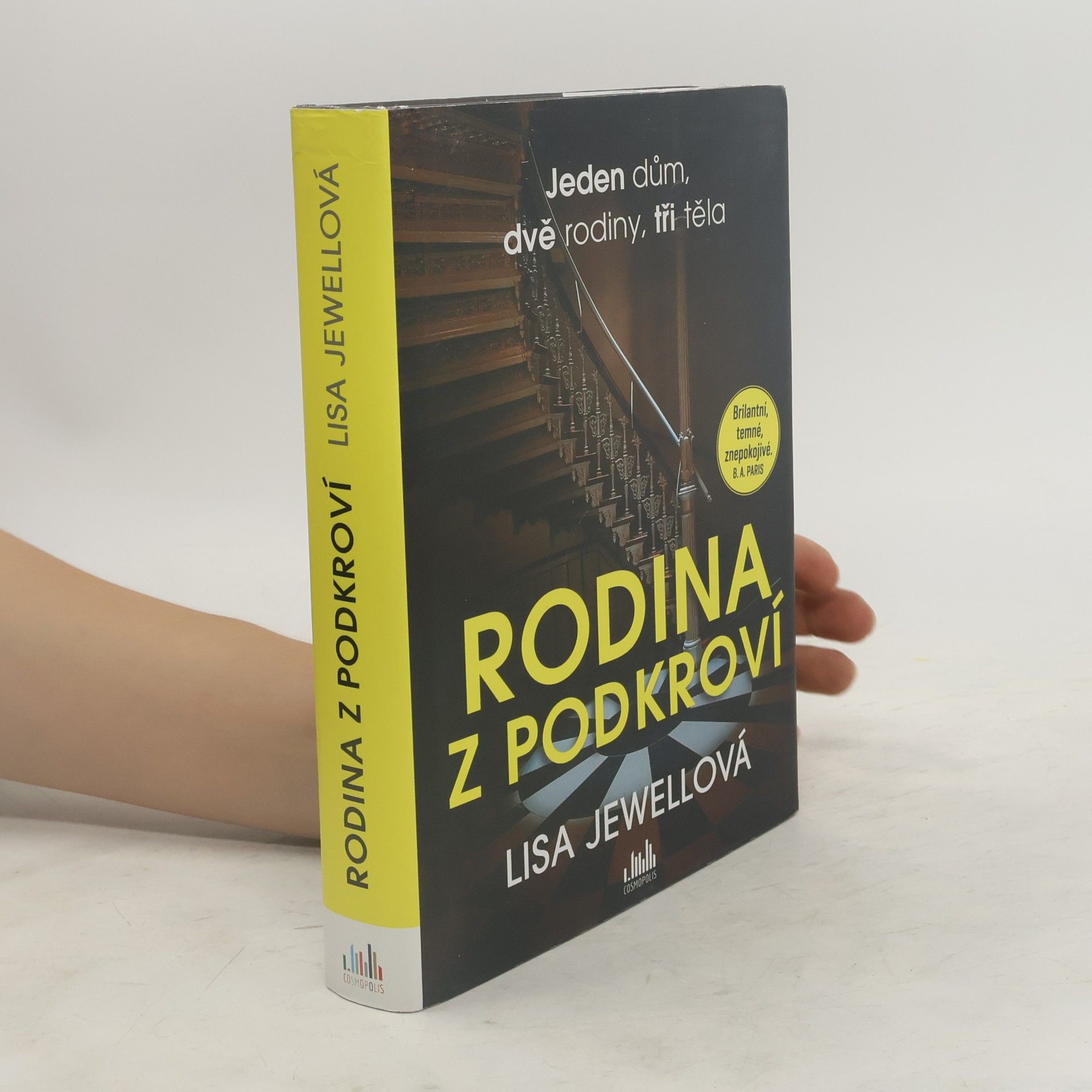 Lisa Jewell Rodina z podkroví