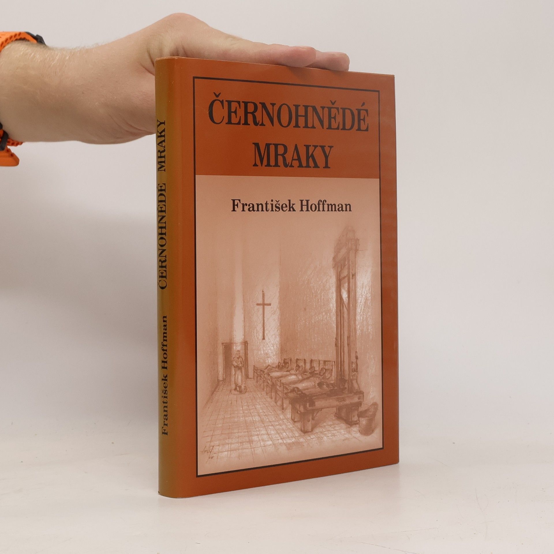 František Hoffman Černohnědé mraky