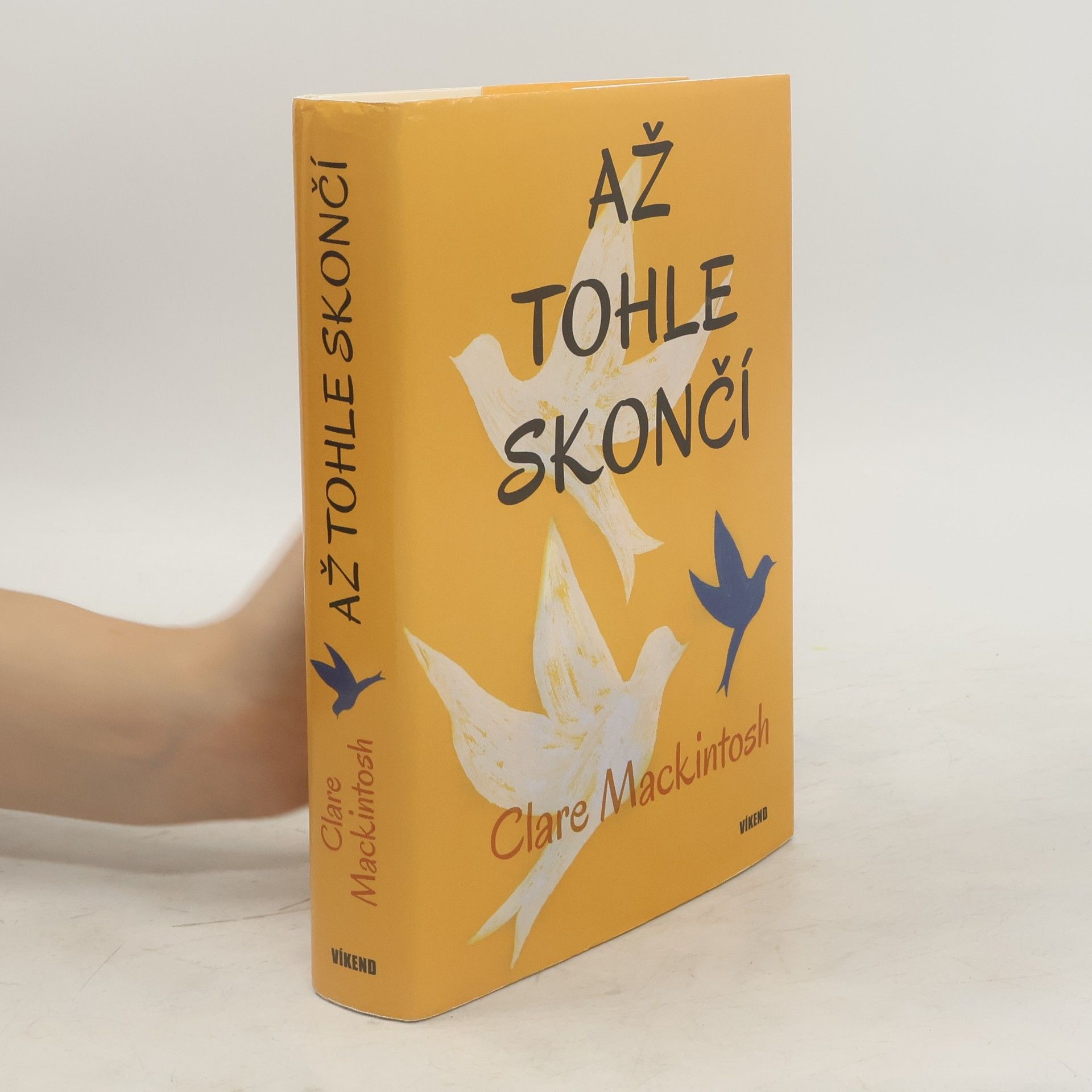 Clare Mackintosch Až tohle skončí