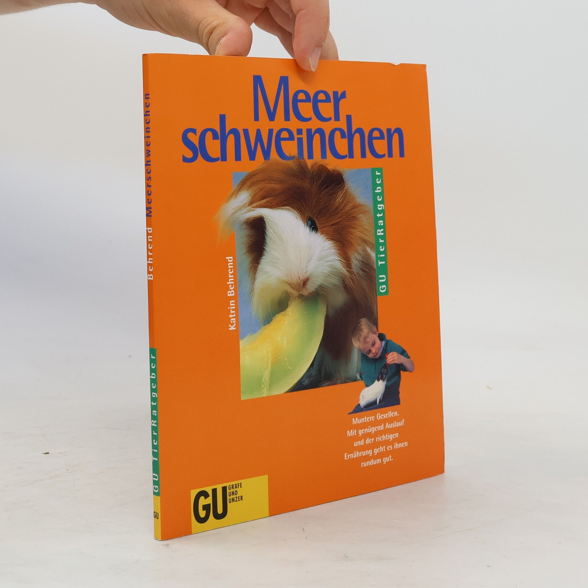 Katrin Behrend Meerschweinchen
