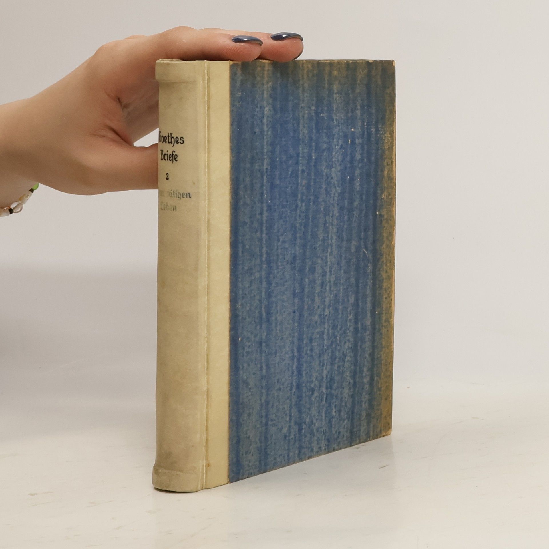Johann Wolfgang von Goethe Goethes Briefe 2