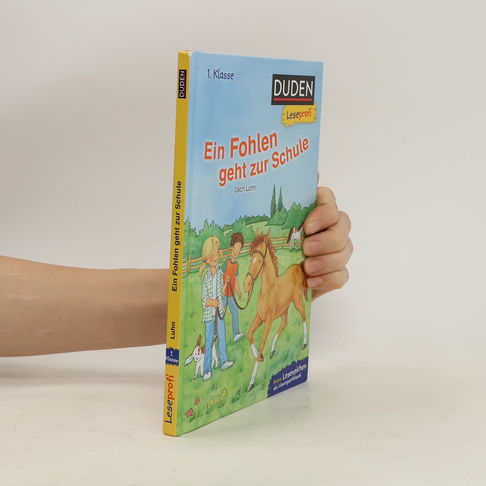 Usch Luhn Ein Fohlen geht zur Schule