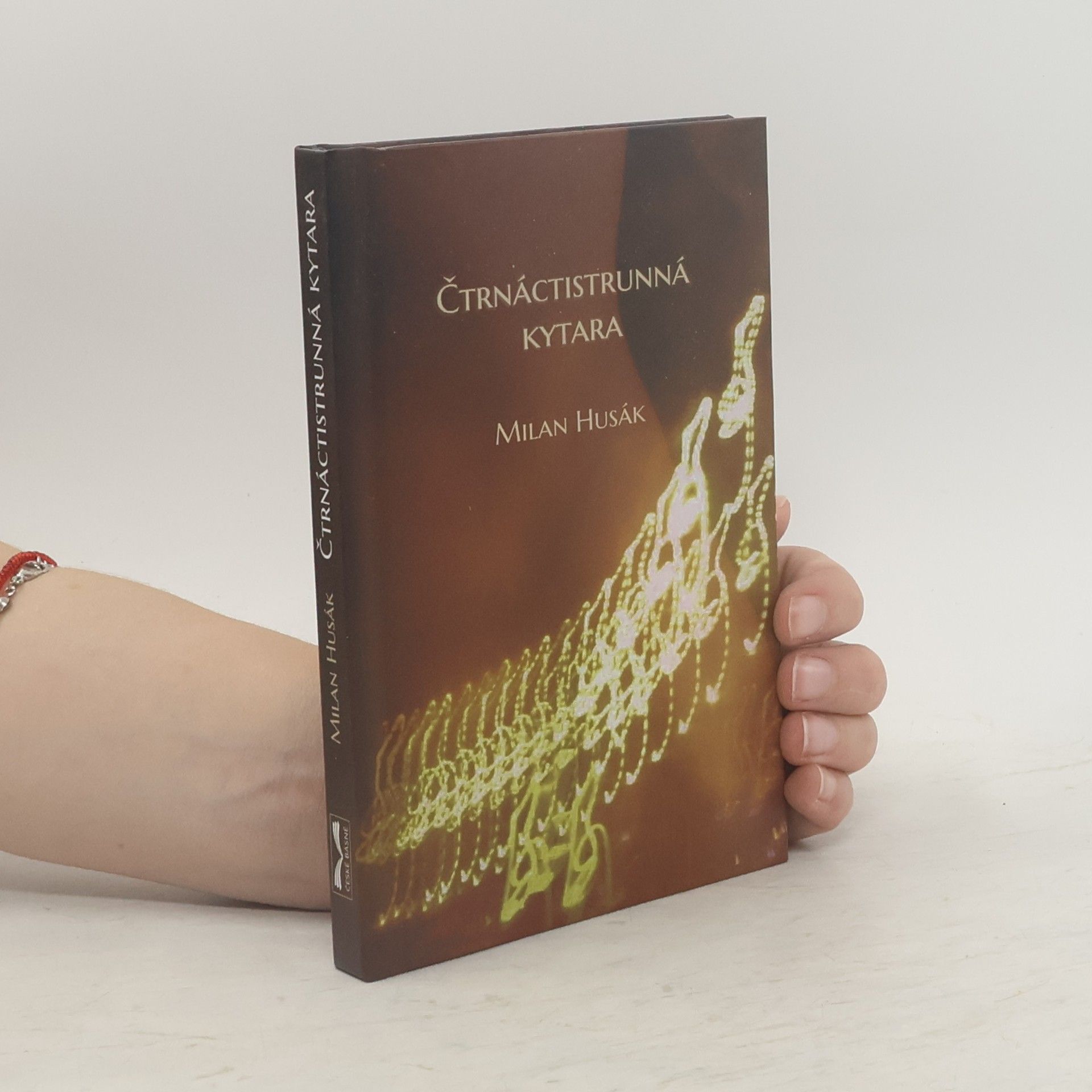 Milan Husák Čtrnáctistrunná kytara