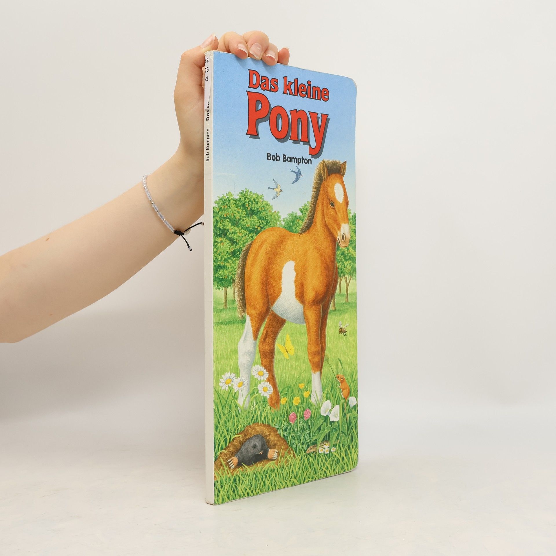Bob Bampton Das kleine Pony