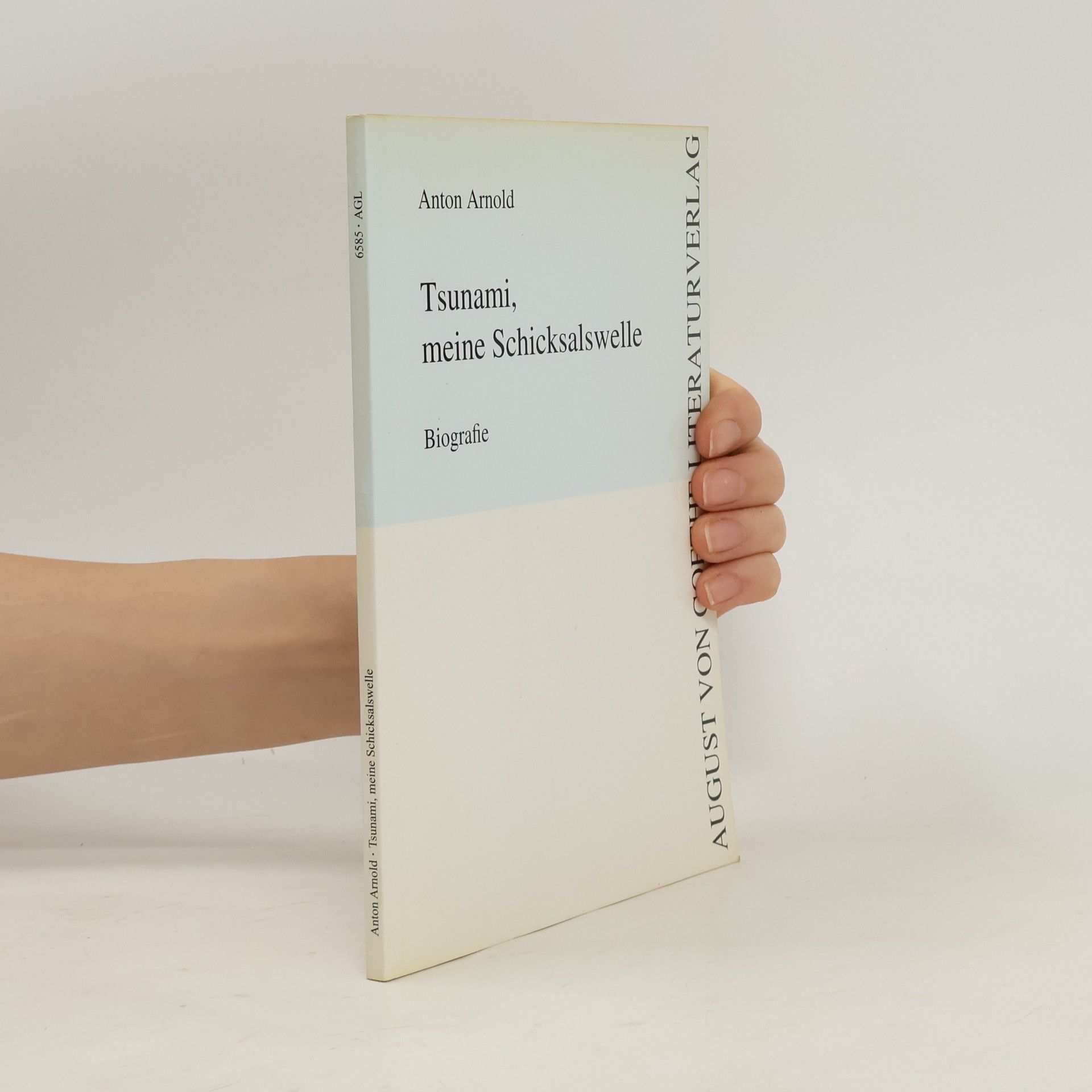 Anton Arnold Tsunami, meine Schicksalswelle