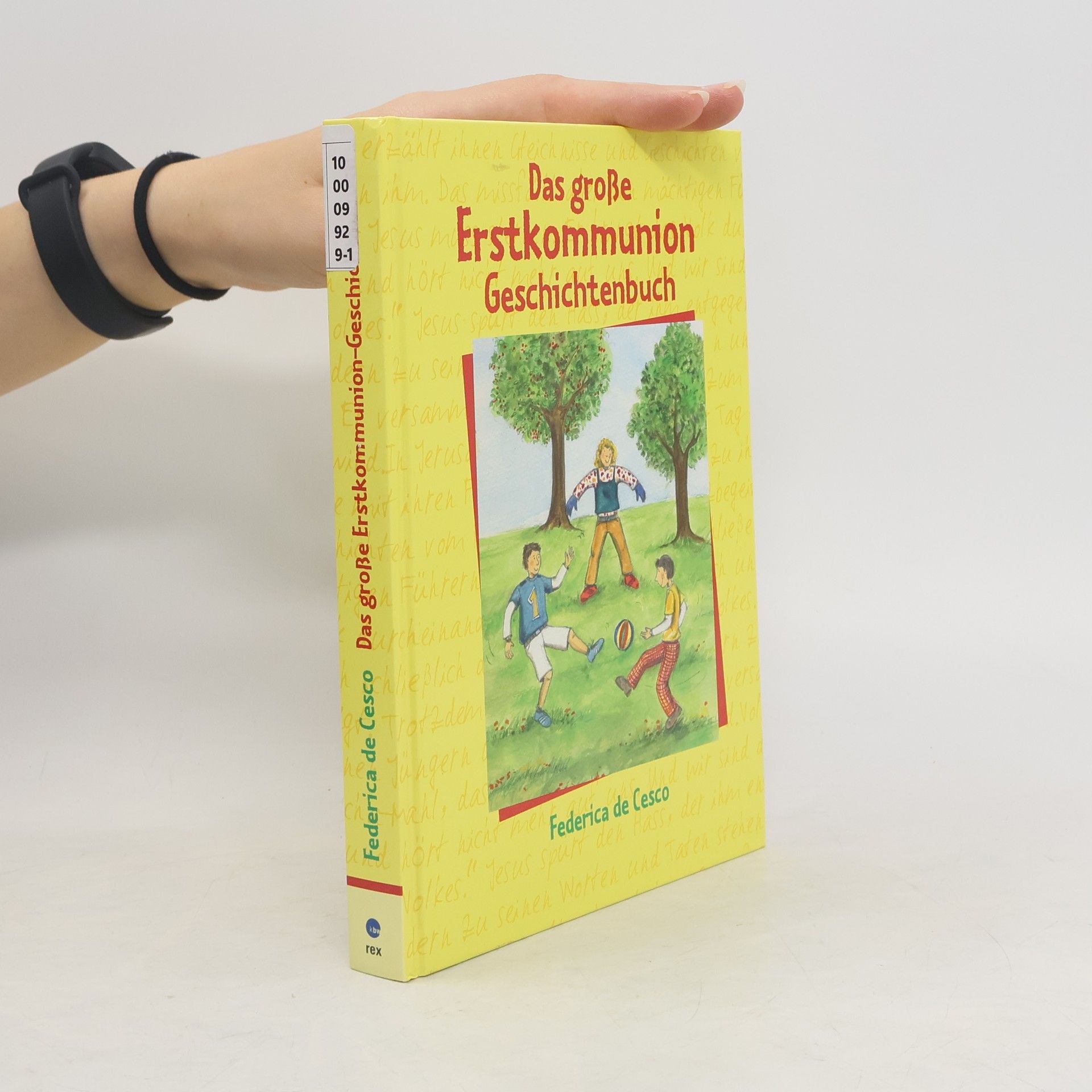 Federica Kitamura-De Cesco Das große Erstkommunion-Geschichtenbuch