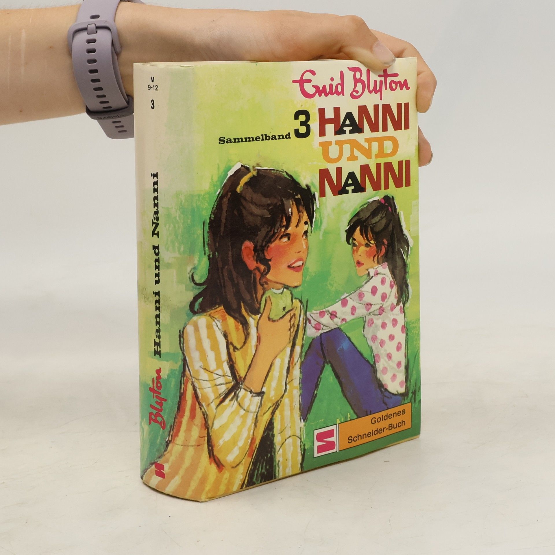 Enid Blyton Hanni und Nanni. Sammelband 3