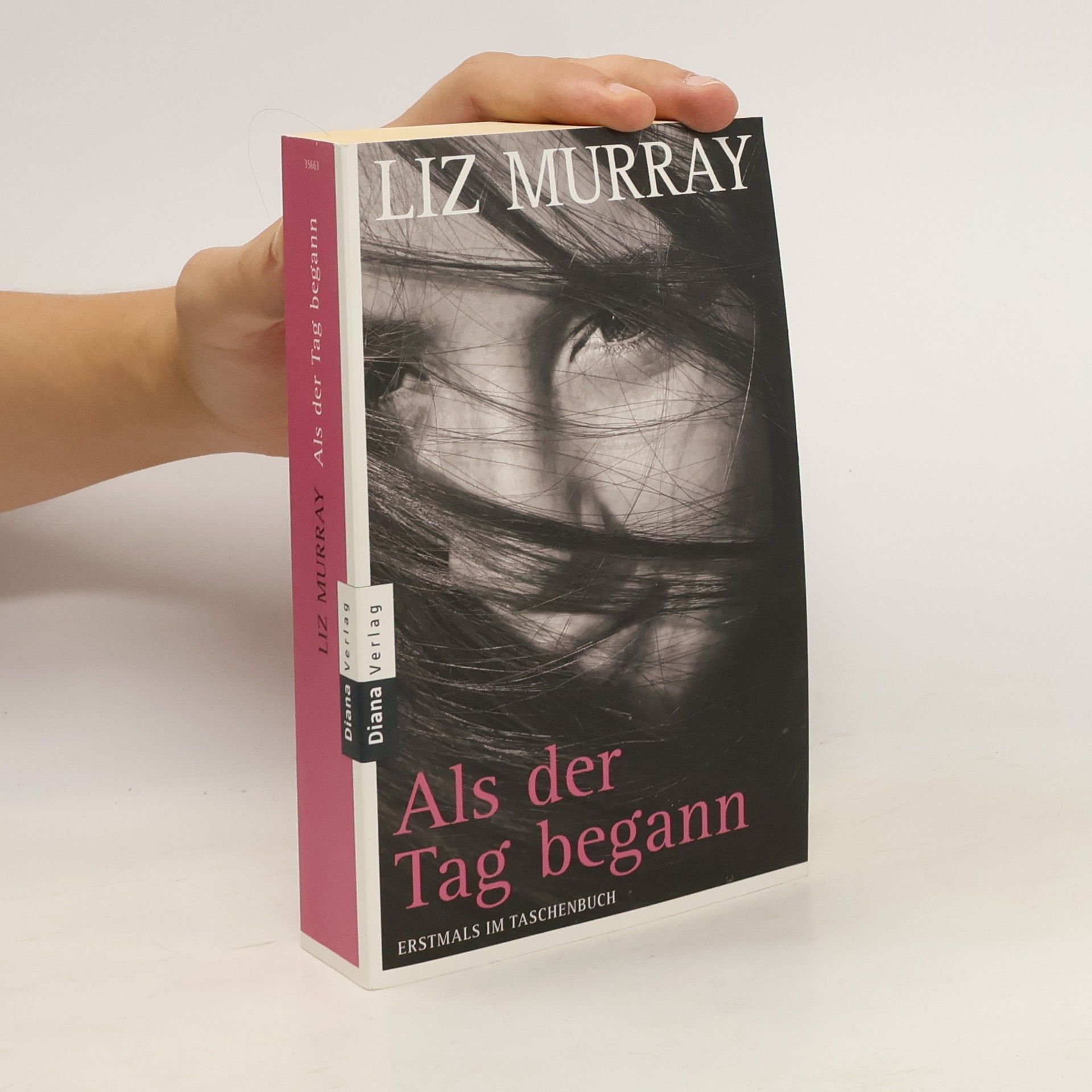 Liz Murray Als der Tag begann