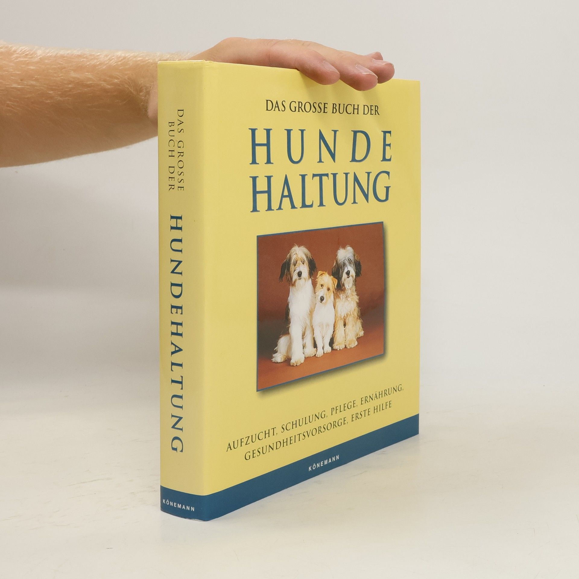 Matthew Hoffman Das grosse Buch der Hunde-Haltung
