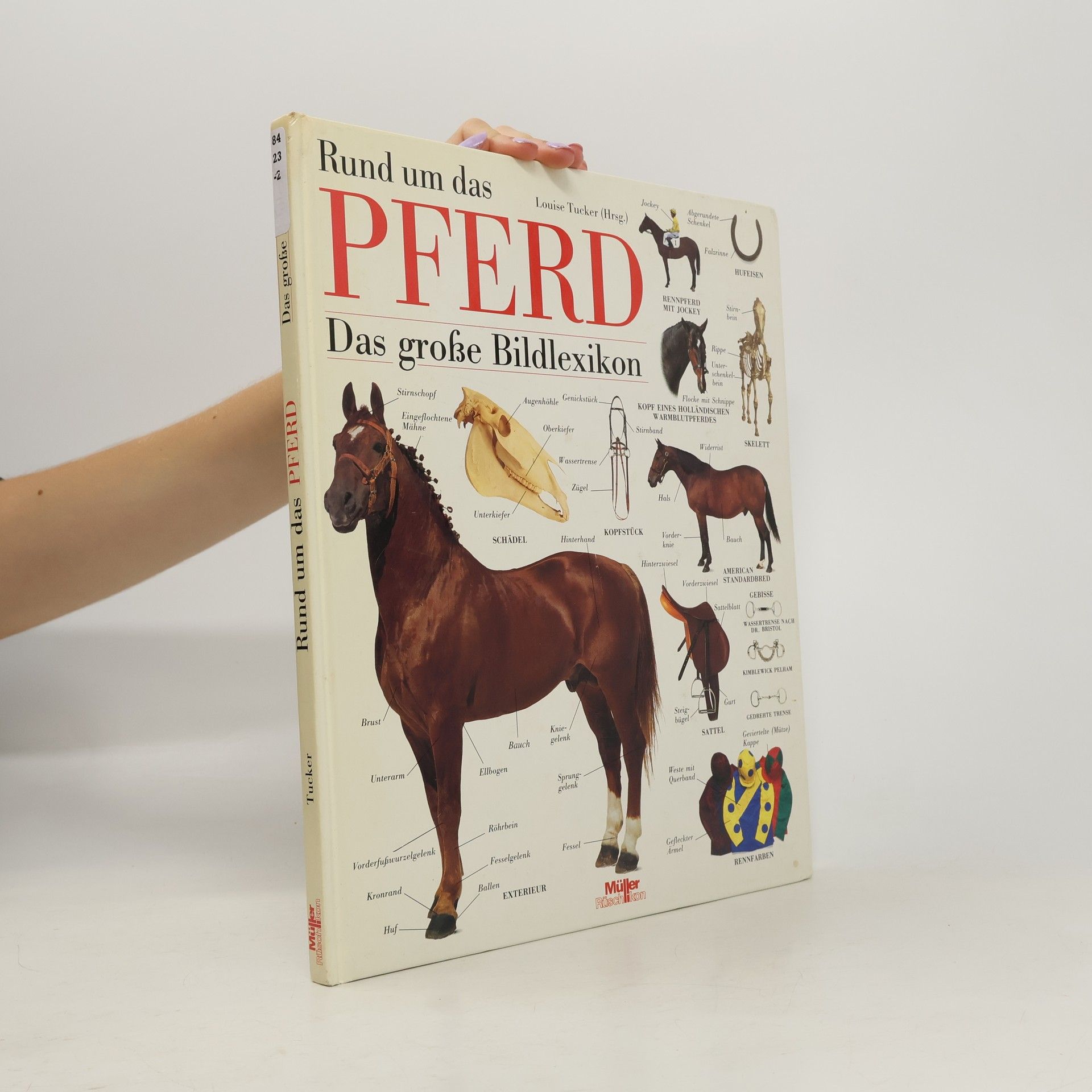 Louise Tucker Rund um das Pferd