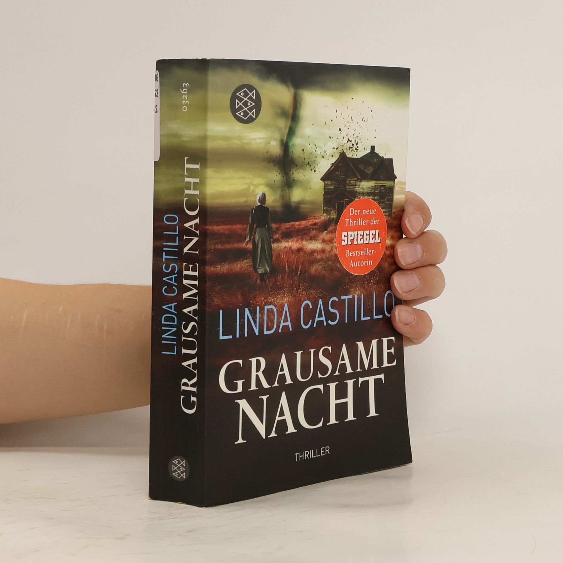 Linda Castillo Grausame Nacht