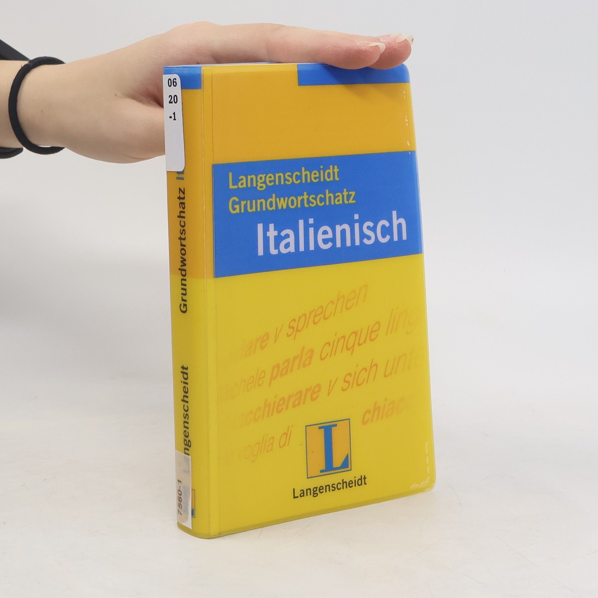 Monica Boraso Langenscheidt-Grundwortschatz Italienisch