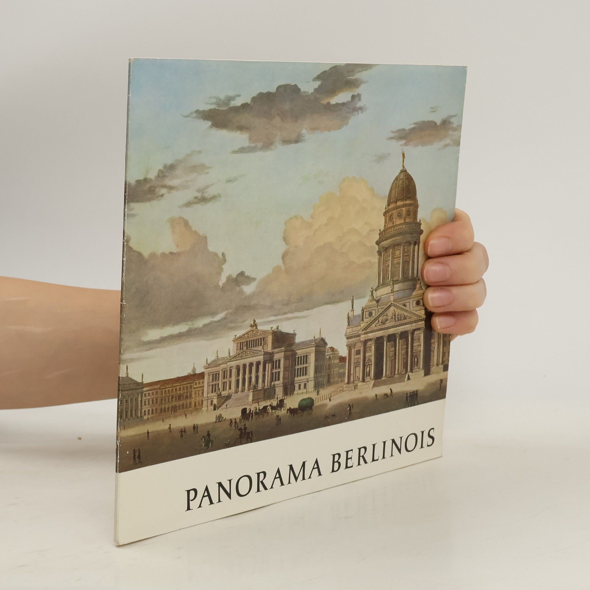 Collectif d'auteurs Panorama Berlinois