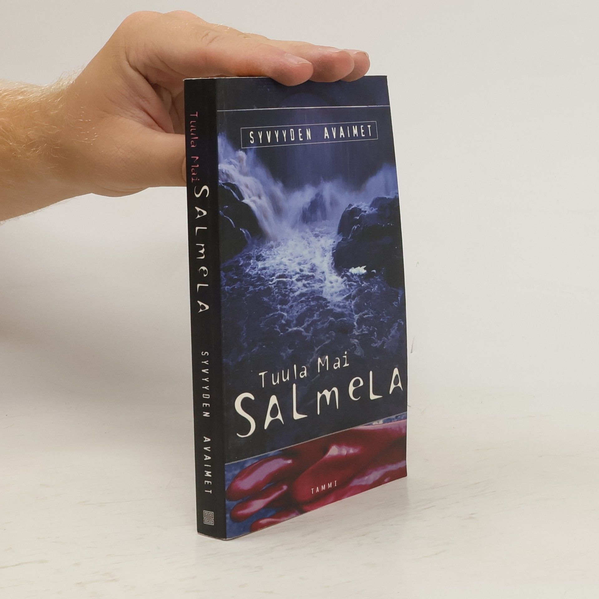 Salmela Tuula Mai Syvyyden avaimet
