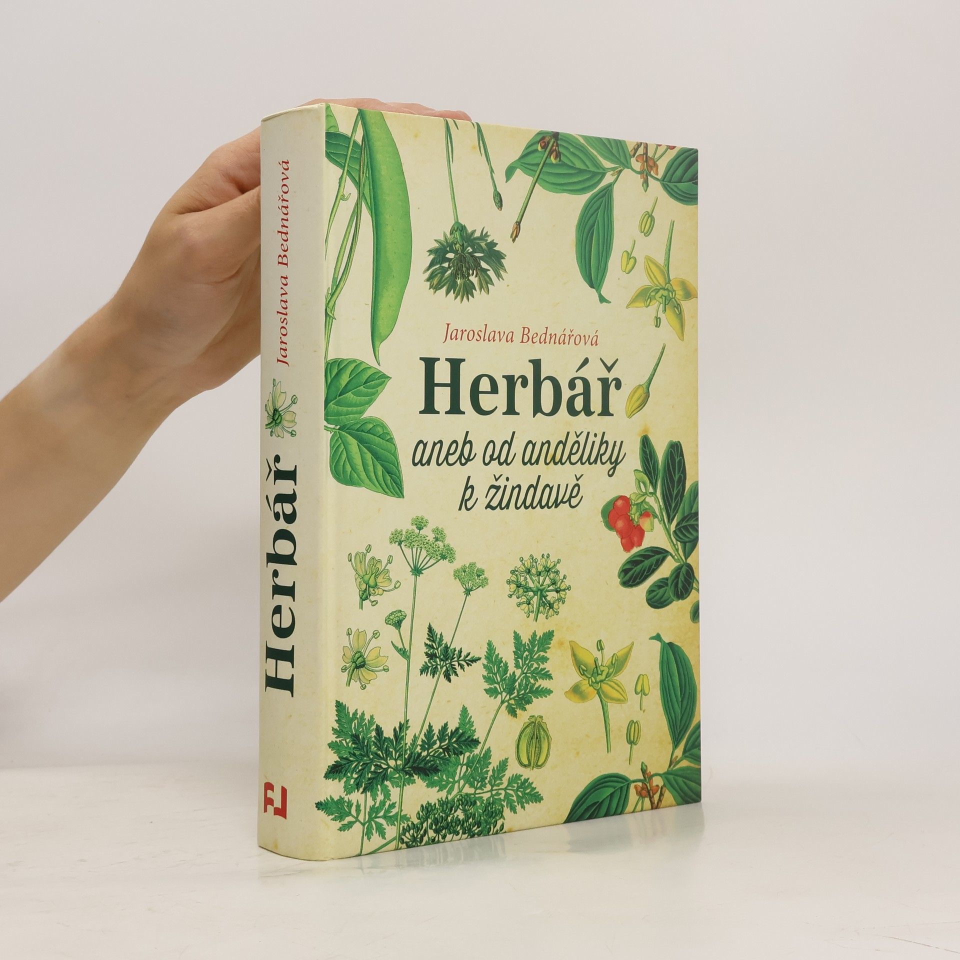 Jaroslava Bednářová Herbář, aneb, Od anděliky k žindavě