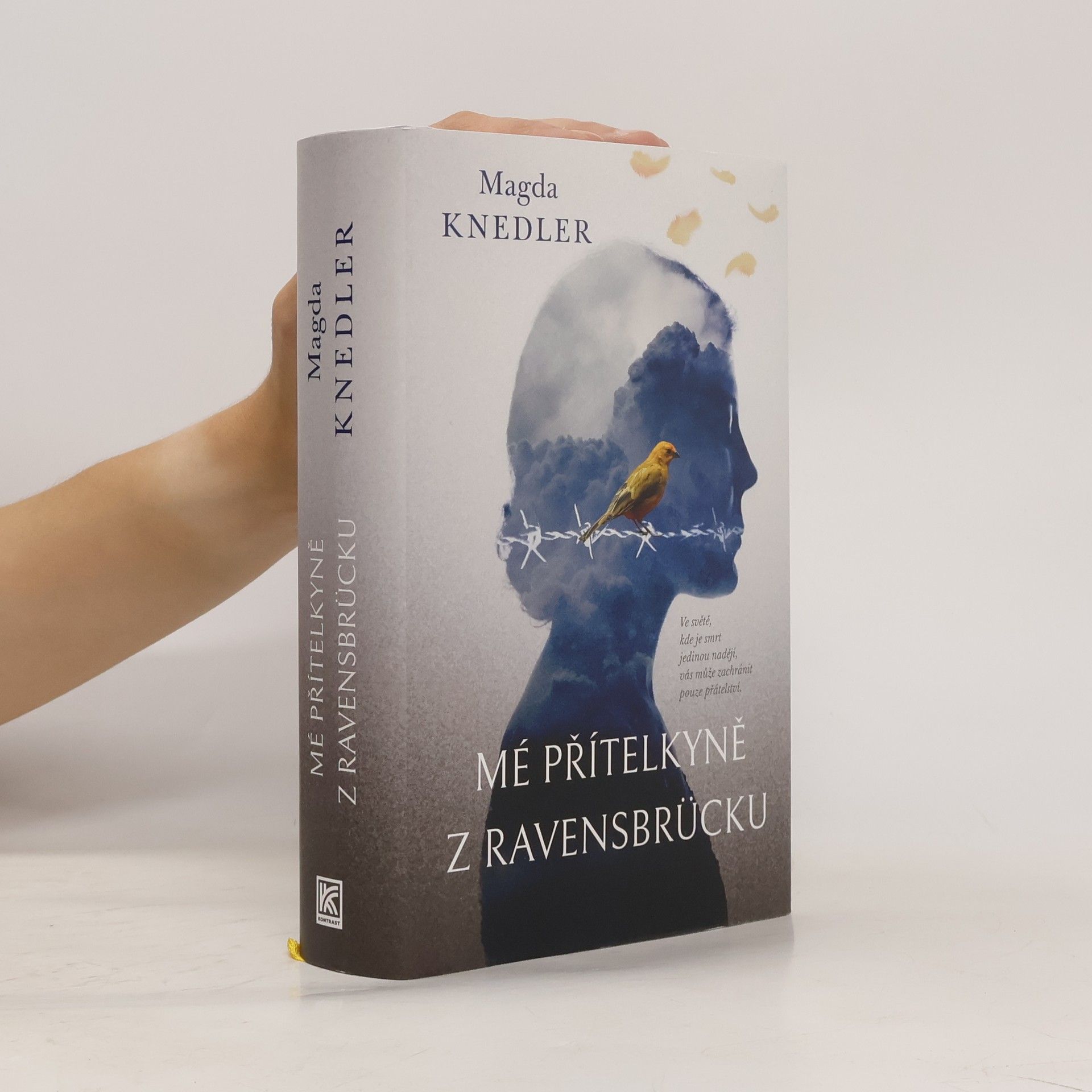 Magdalena Knedler Mé přítelkyně z Ravensbrücku