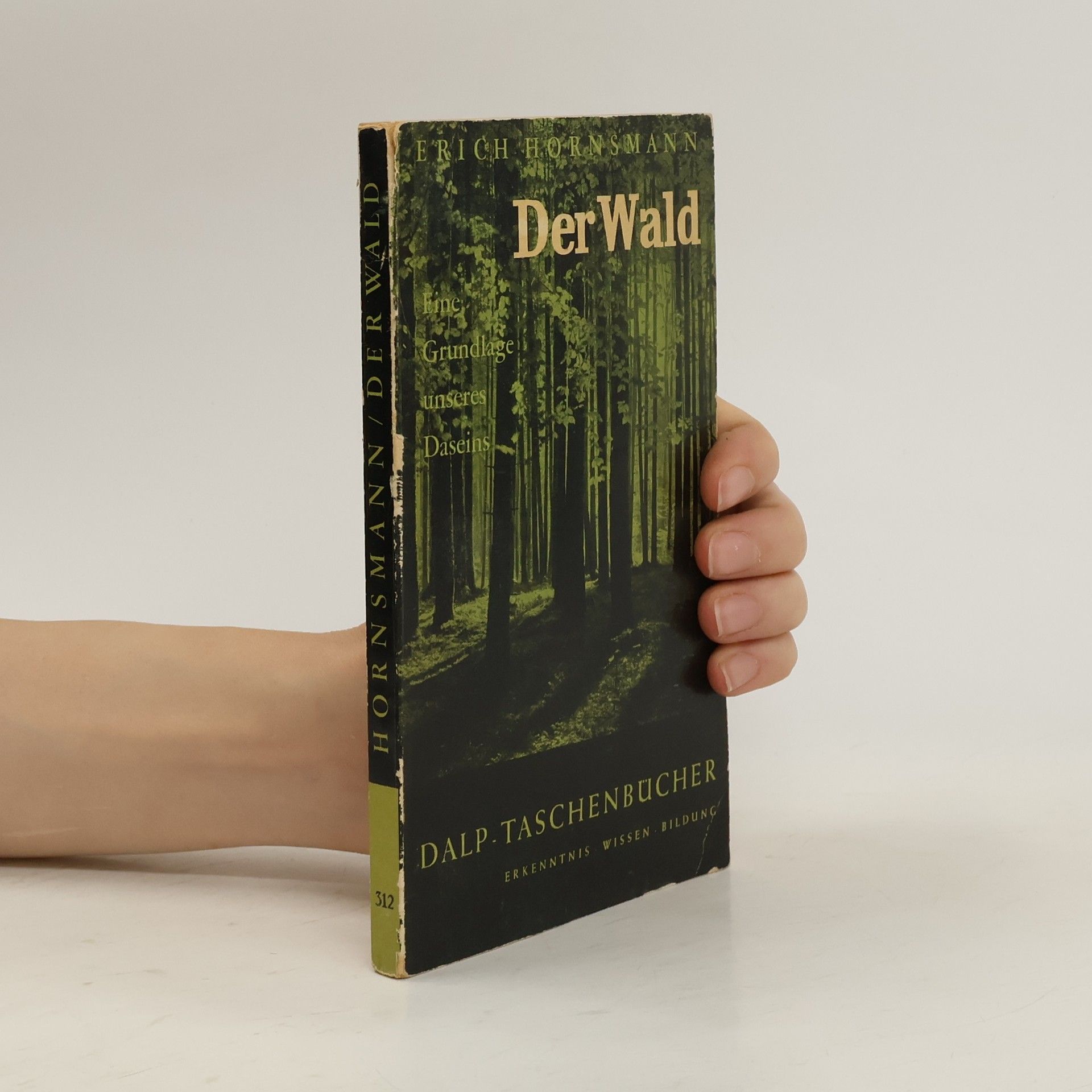 Erich Hornsmann Der Wald