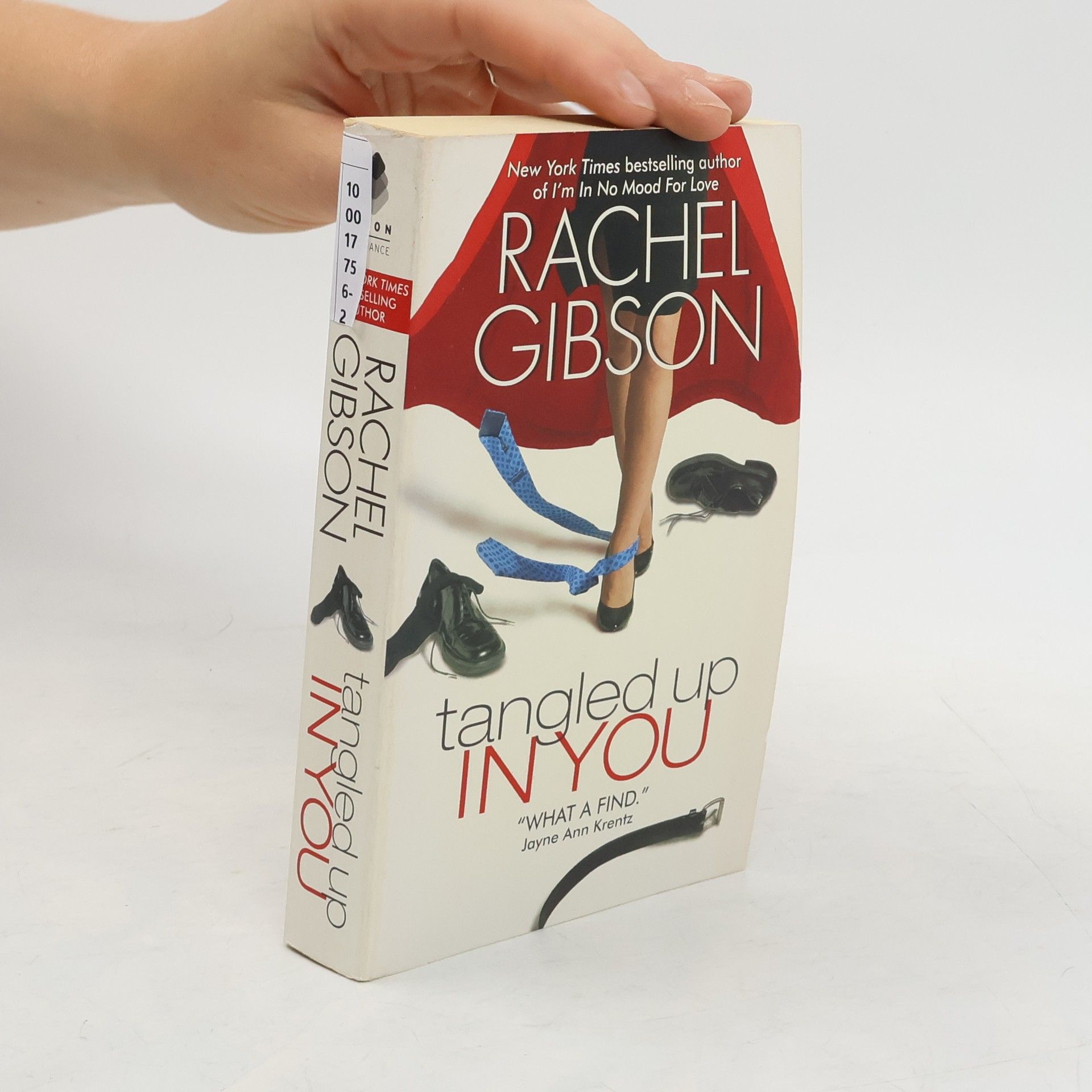 Rachel Gibson Tangled Up In You