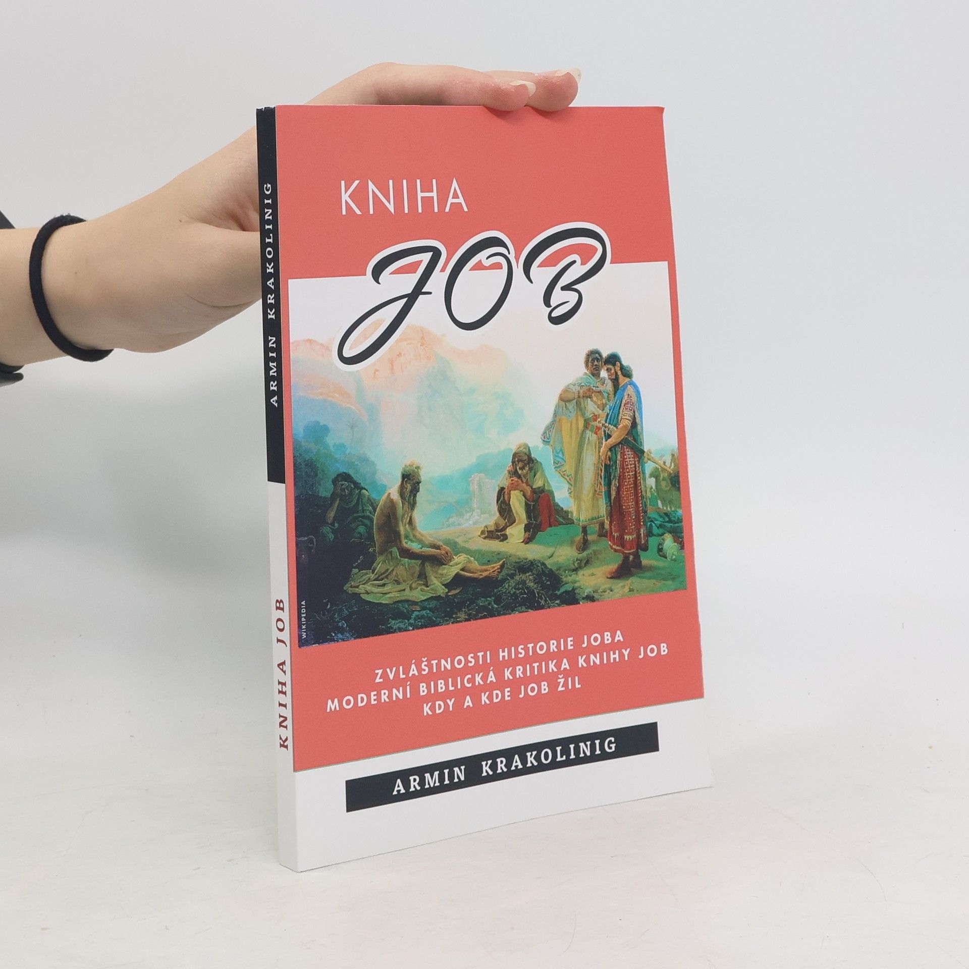 Armin Krakolinig Kniha Job