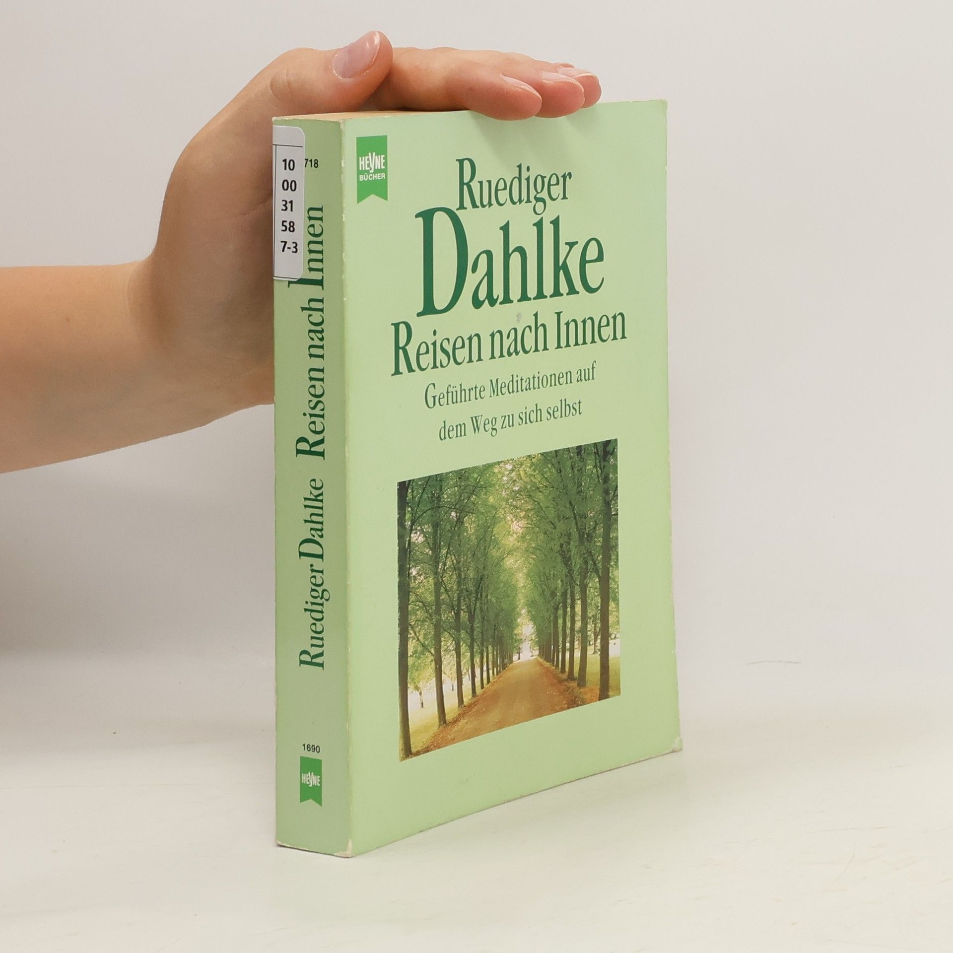 Ruediger Dahlke Reisen nach Innen.
