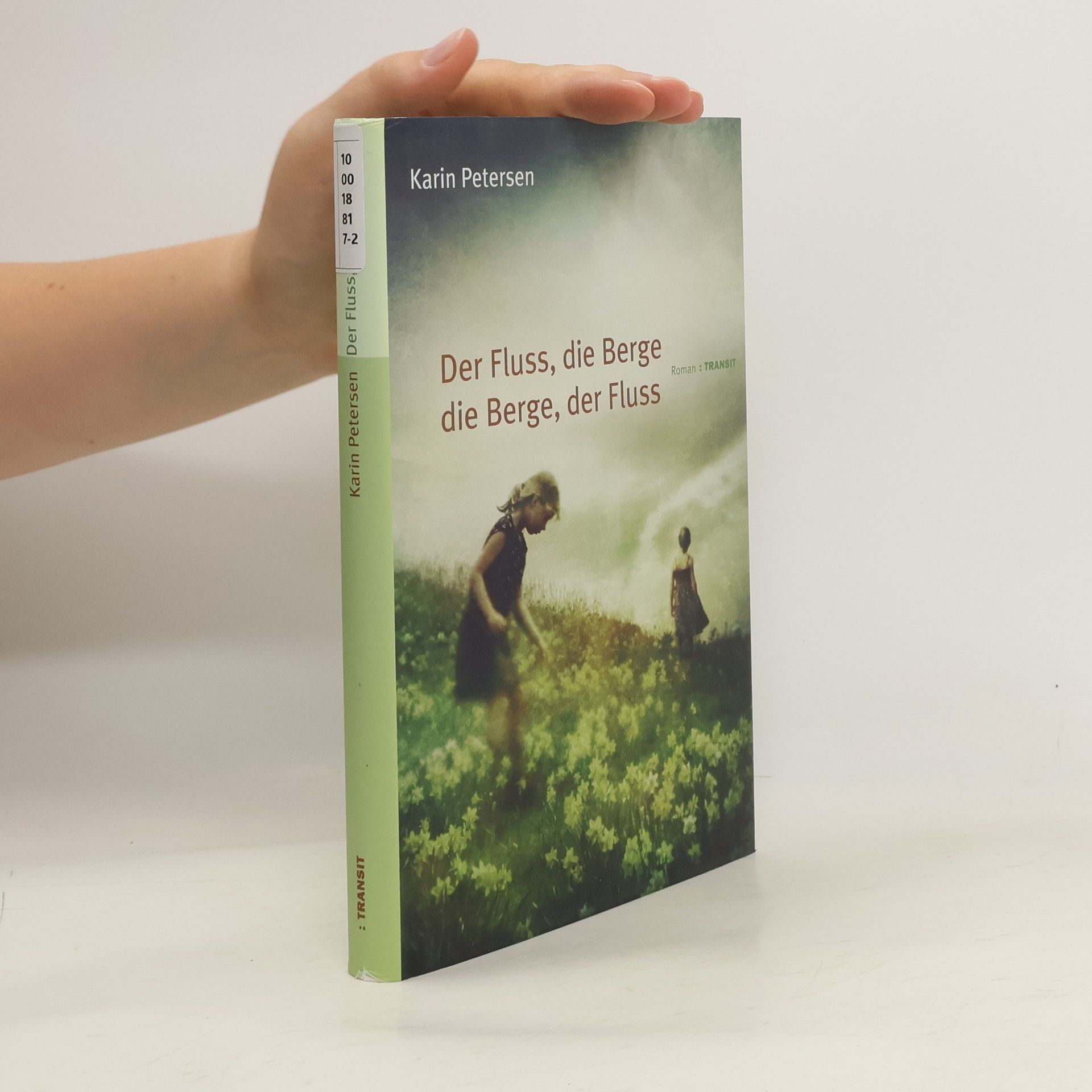 Karin Petersen Der Fluss, die Berge, die Berge, der Fluss