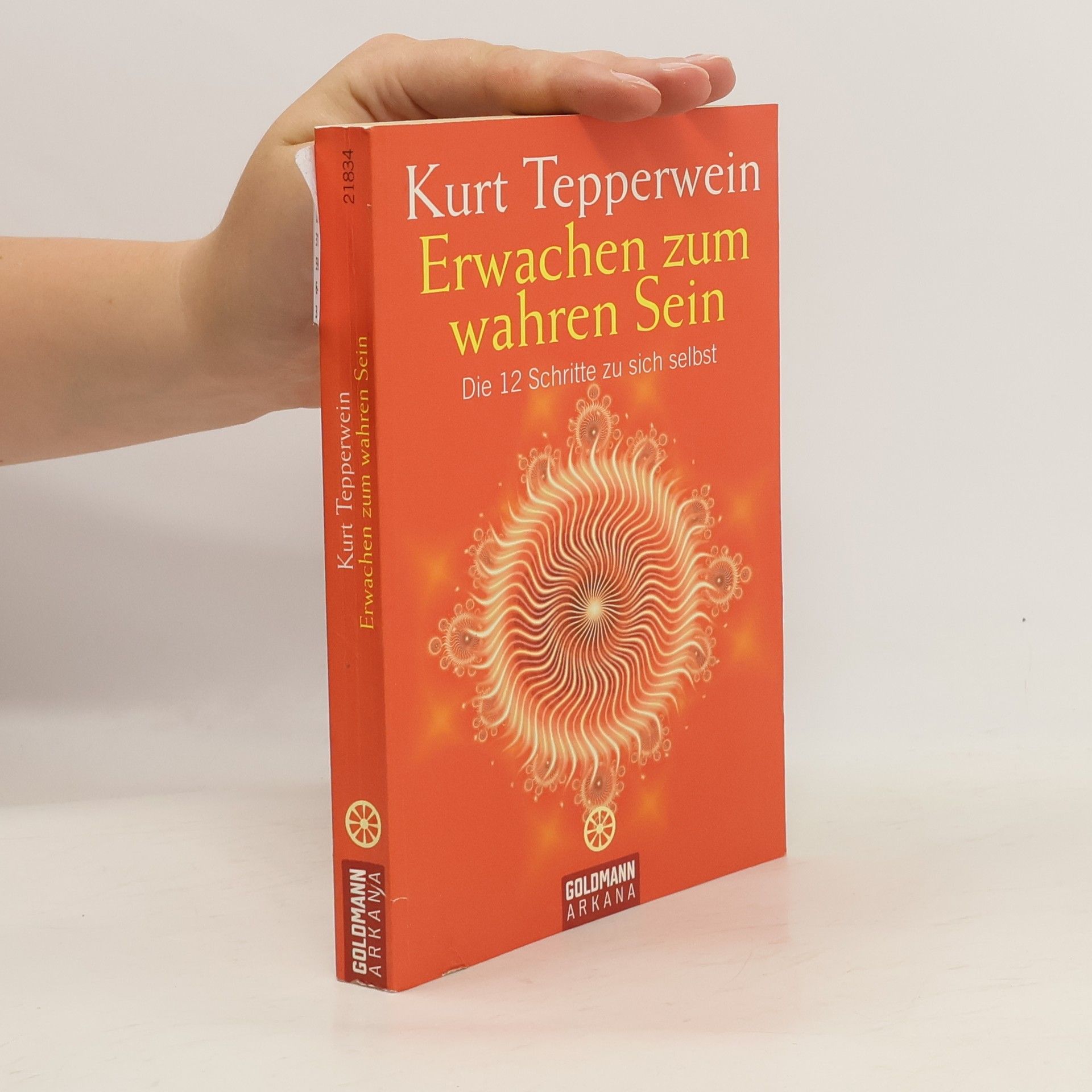 Kurt Tepperwein Erwachen zum wahren Sein