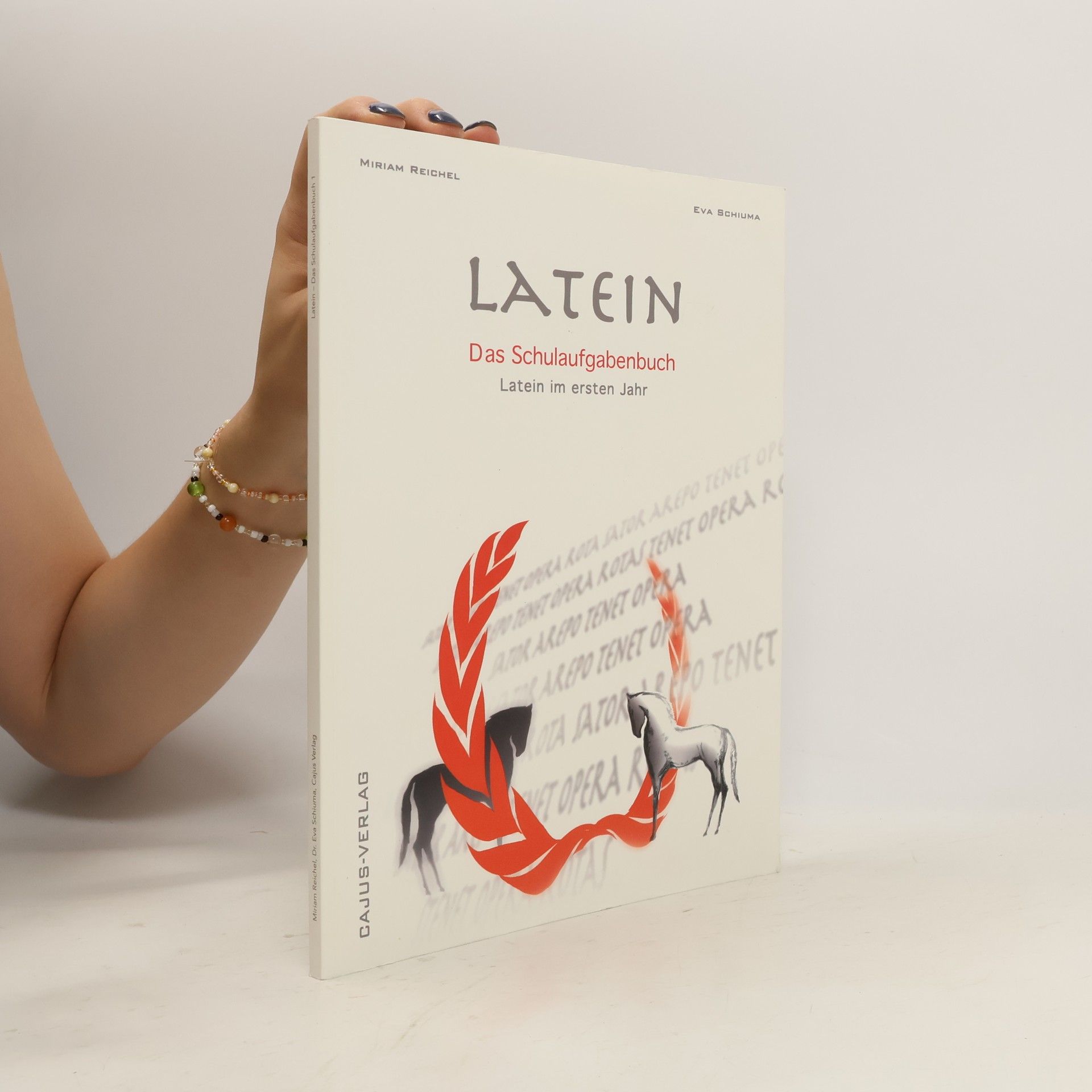 Miriam Reichel Testflipping Latein im ersten Jahr - Das Schulaufgabenbuch