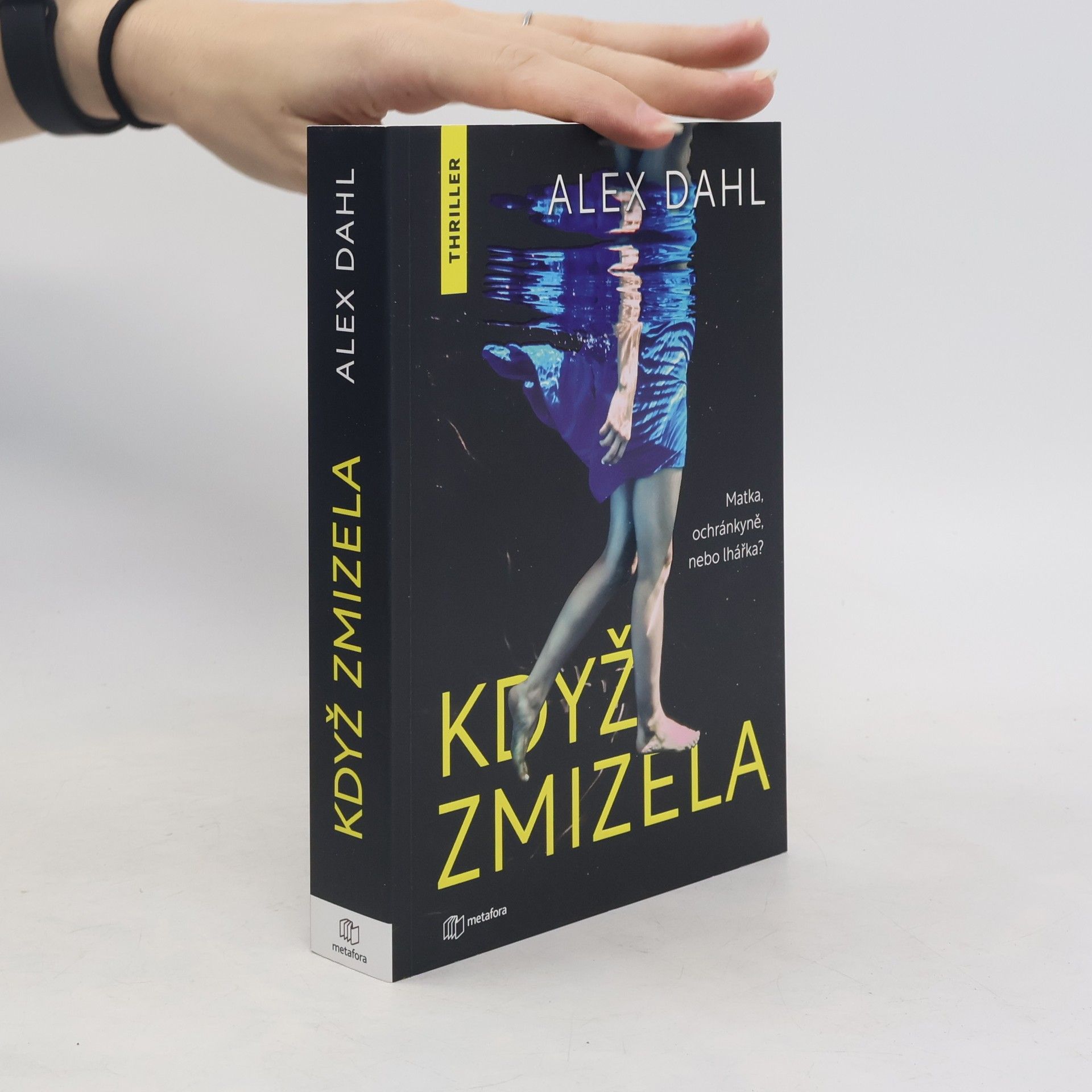 Alex Dahl Když zmizela