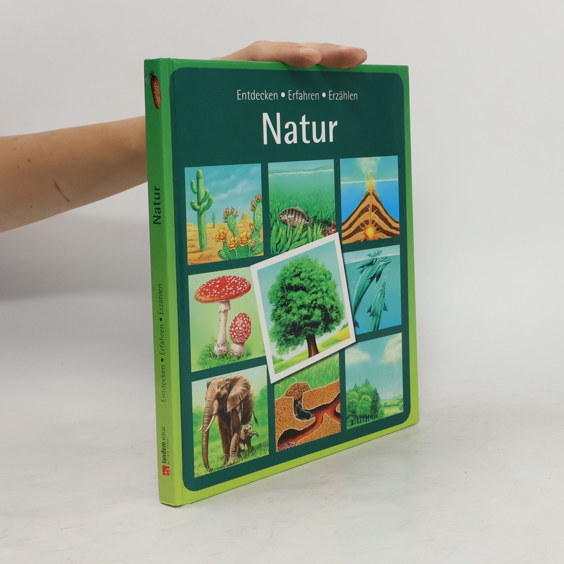 Autorenkollektiv Natur