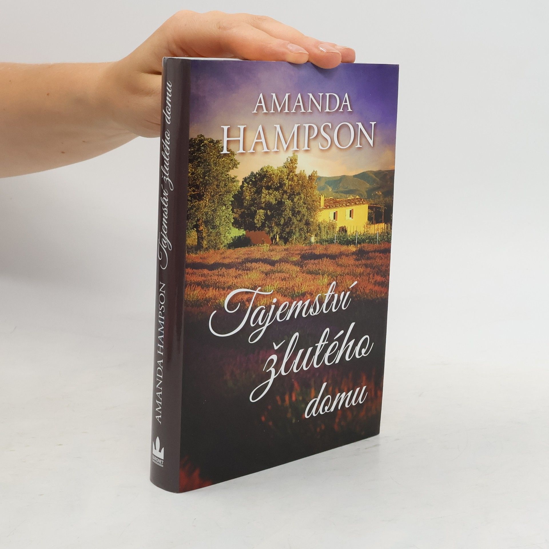 Amanda Hampson Tajemství žlutého domu