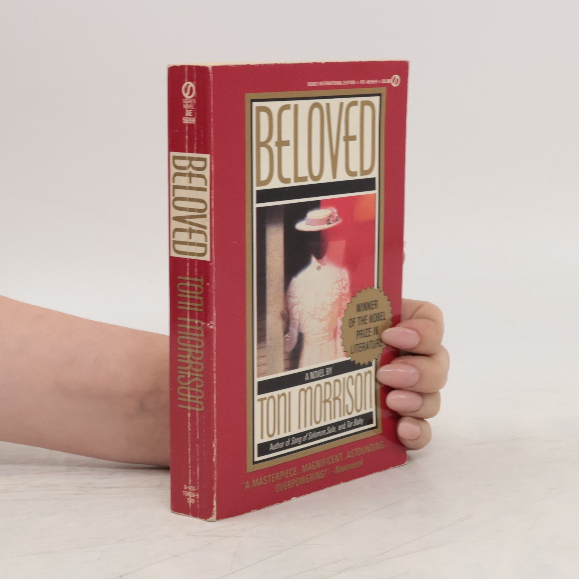 Toni Morrison Beloved