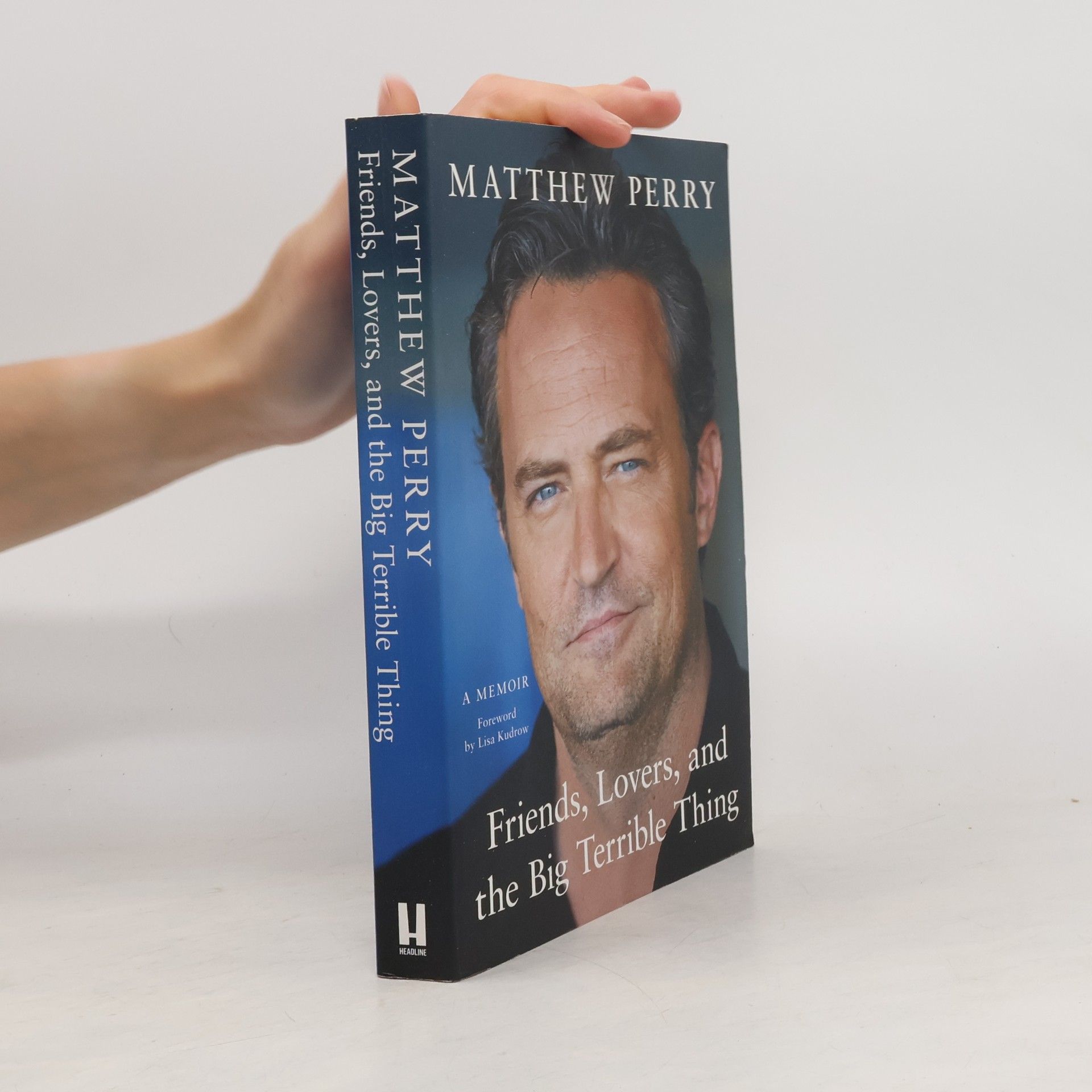 Matthew Perry Friends, lovers, and the big terrible thing
