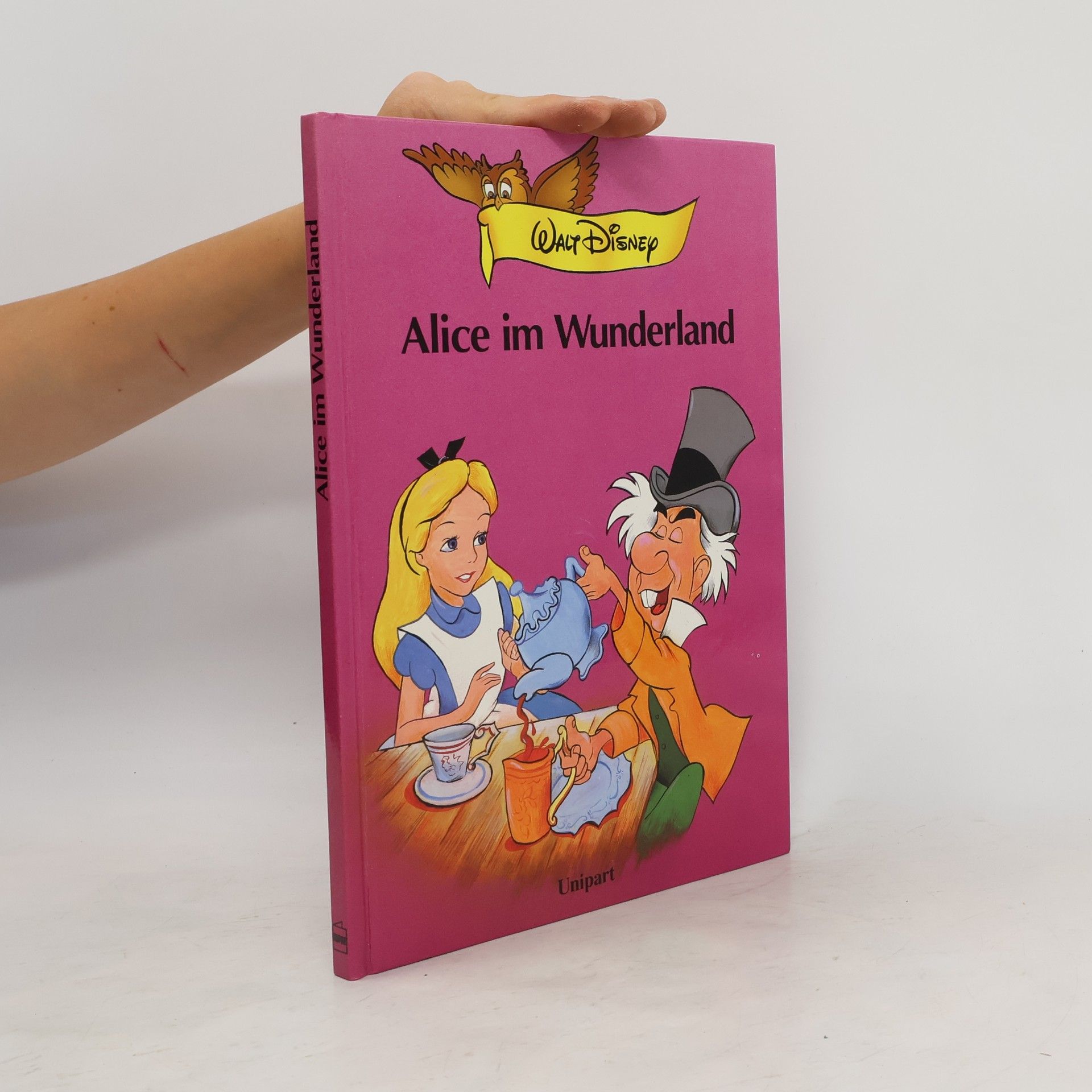 Walt Disney Alice im Winderland