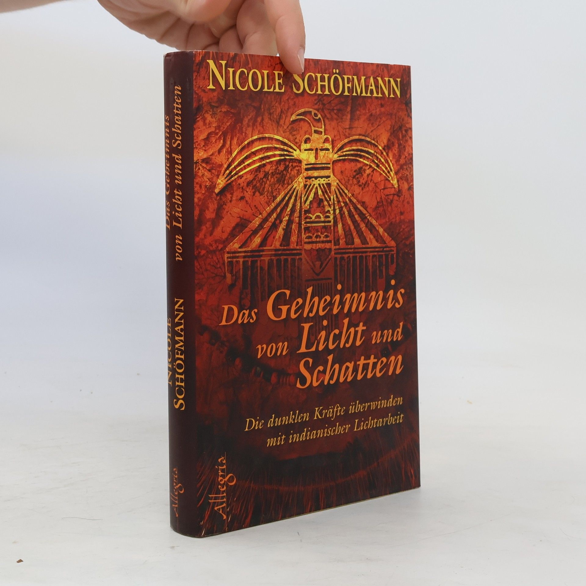 Nicole Schöfmann Das Geheimnis von Licht und Schatten