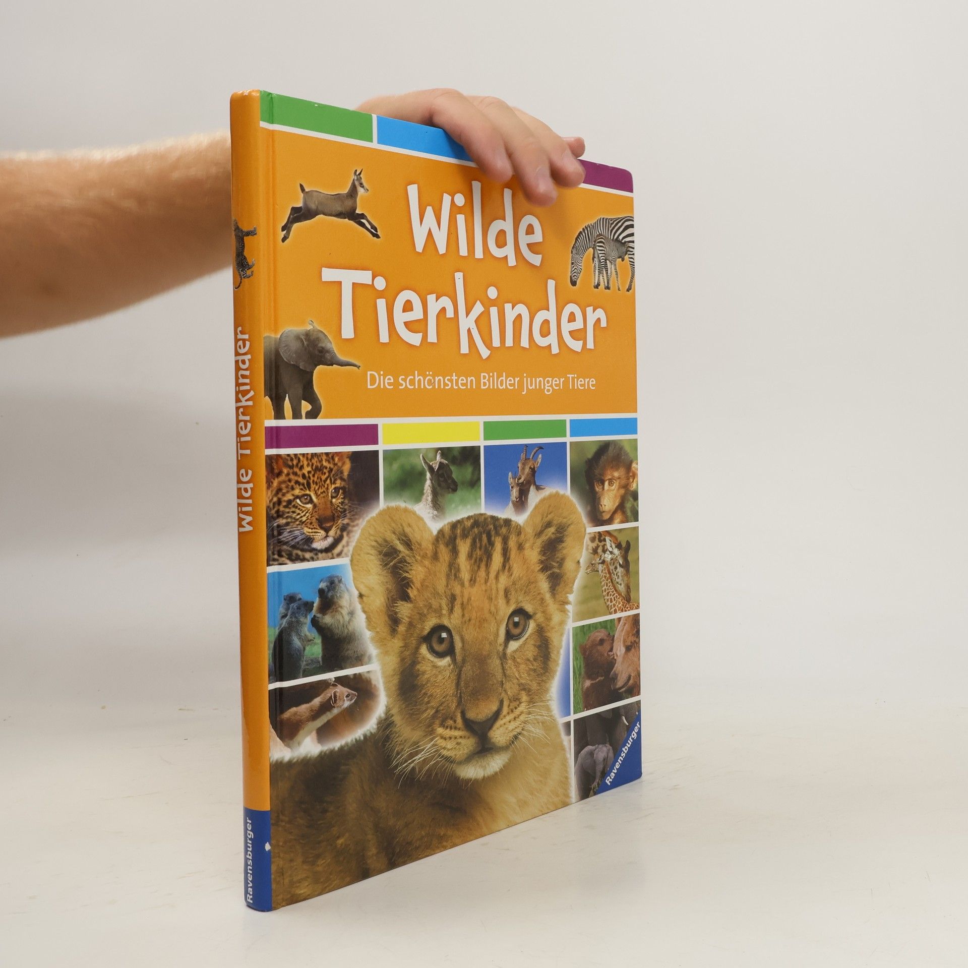 Carine Mayo Wilde Tierkinder