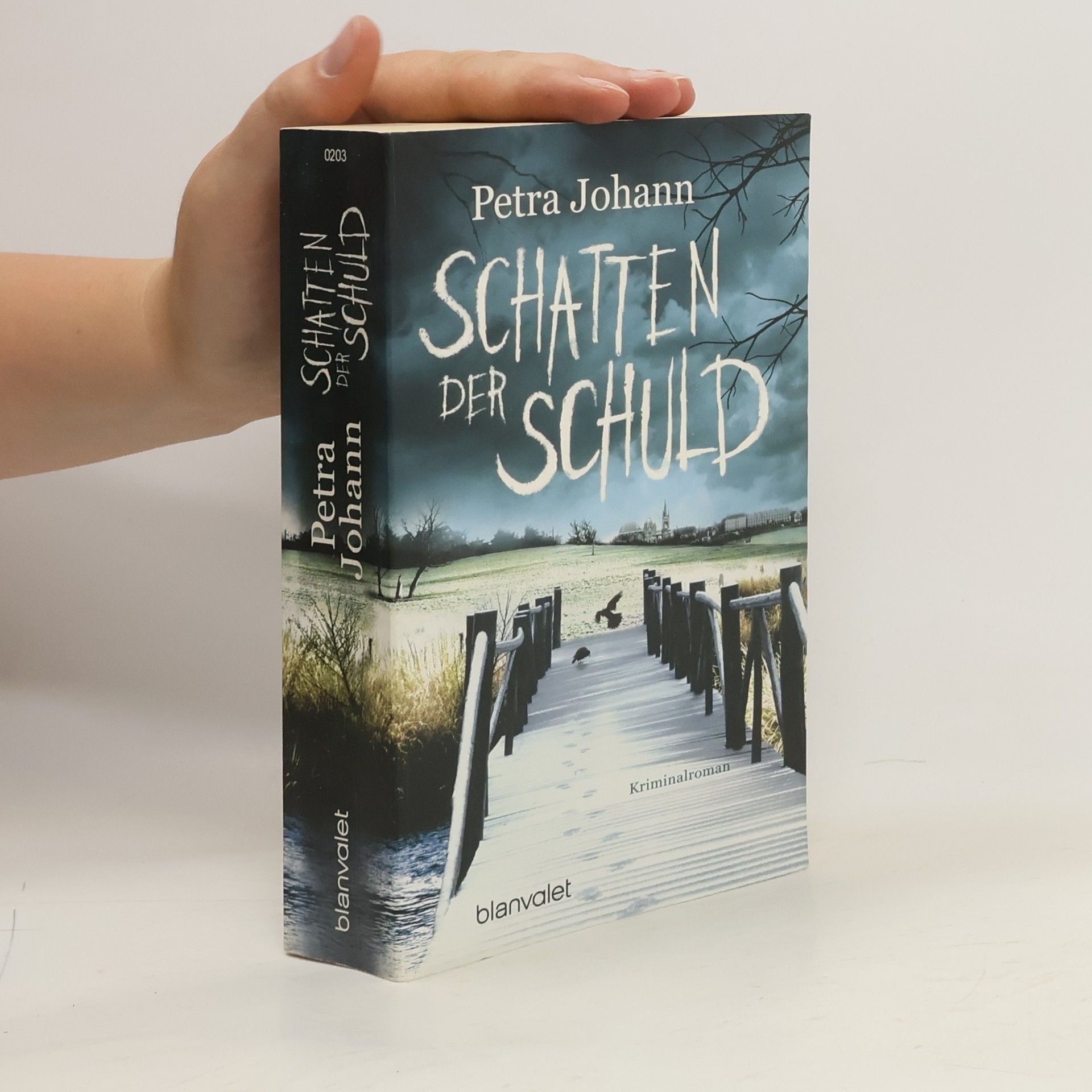 Petra Johann Schatten der Schuld