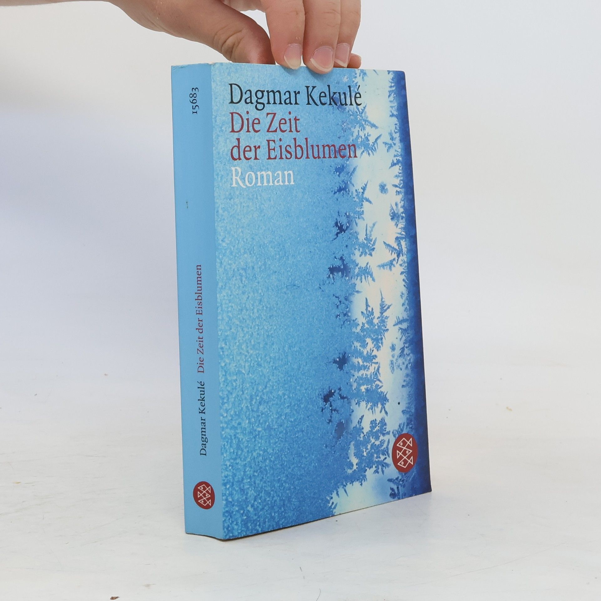 Dagmar Kekulé Die Zeit der Eisblumen