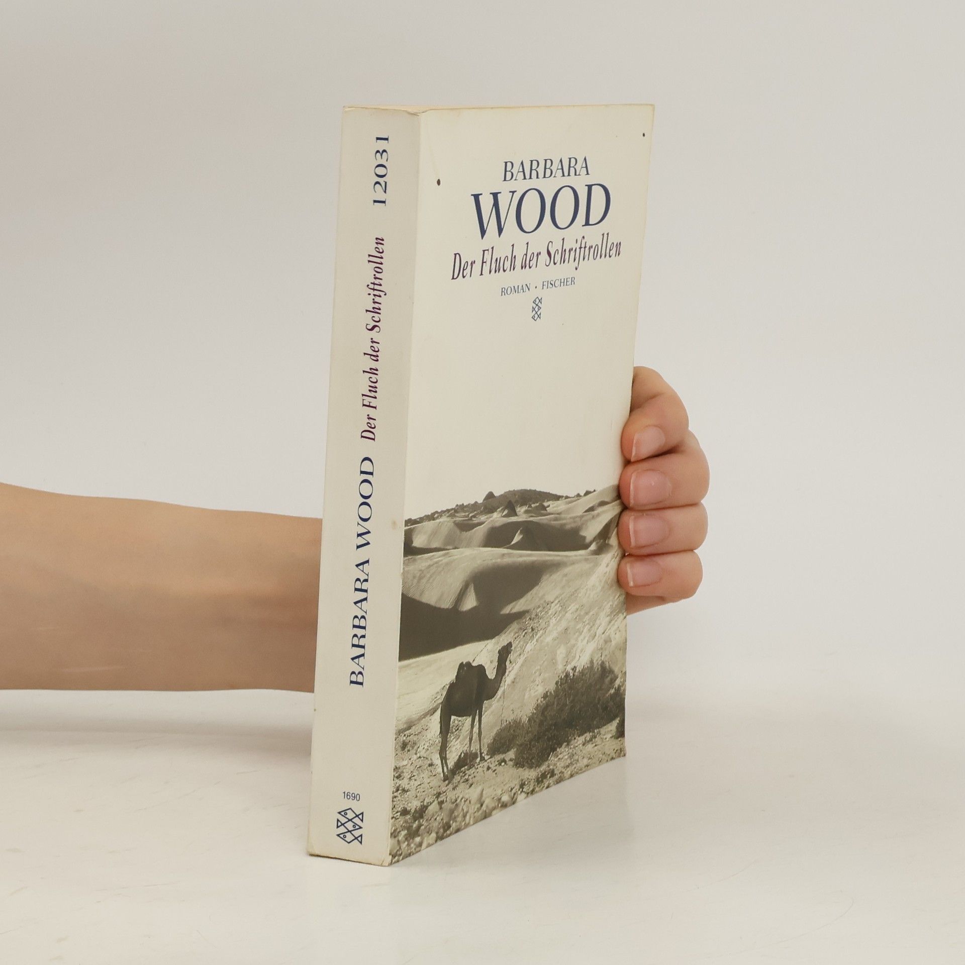 Barbara Wood Der Fluch der Schriftrollen