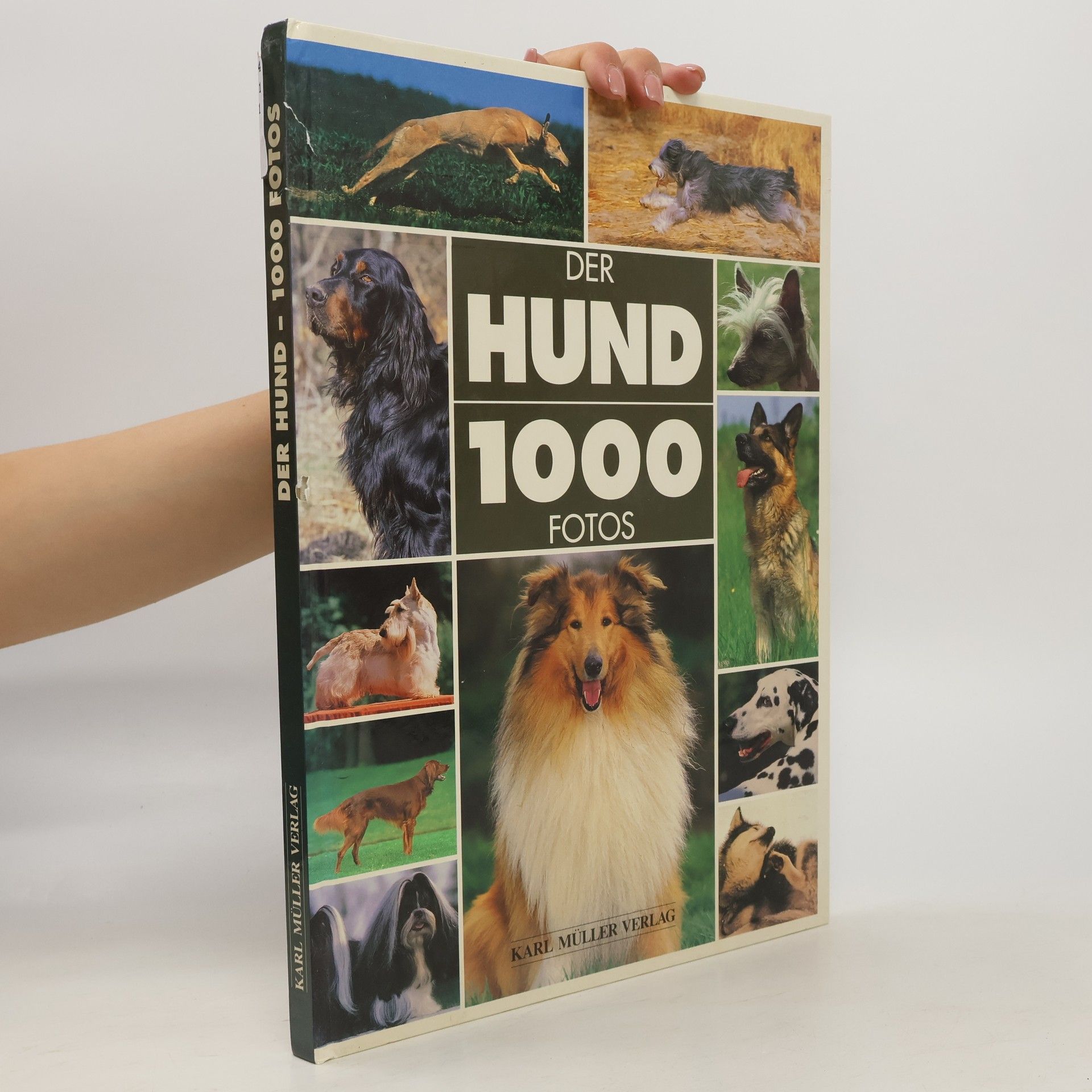 Françoise Huart Der Hund