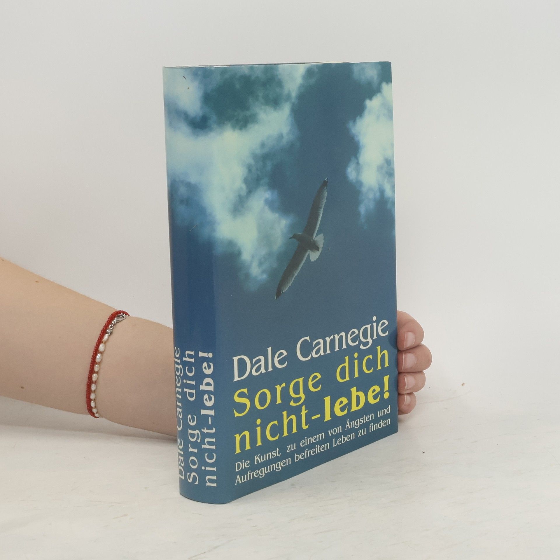 Dale Carnegie Sorge dich nicht-lebe!