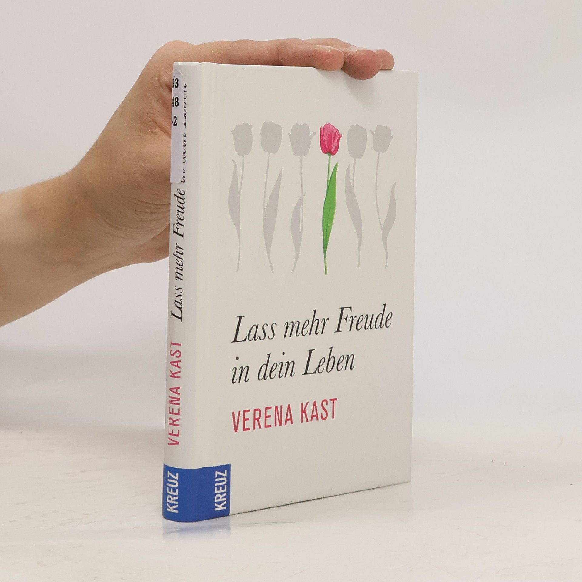 Verena Kast Lass mehr Freude in dein Leben