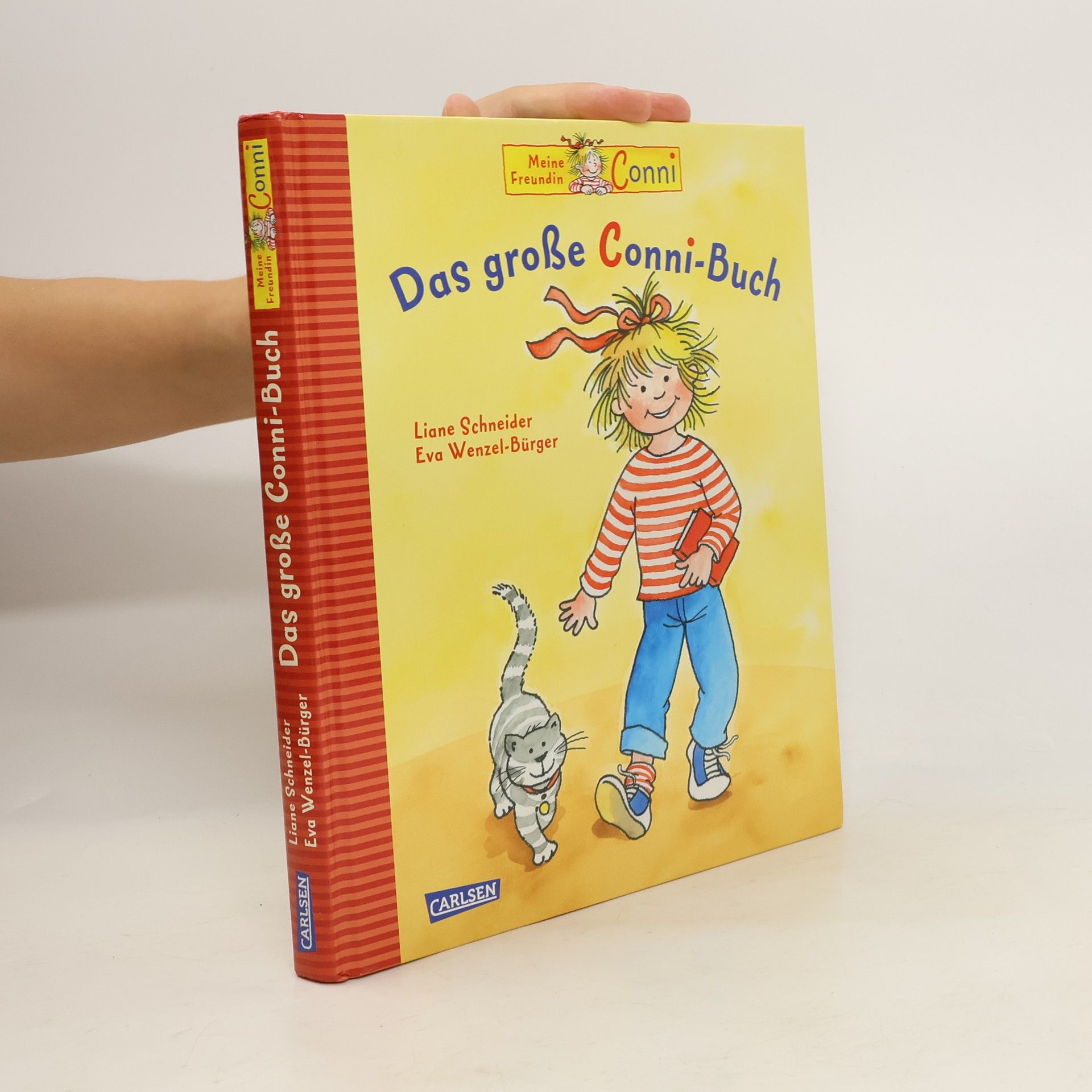 Lianne Schneider Das große Conni-Buch